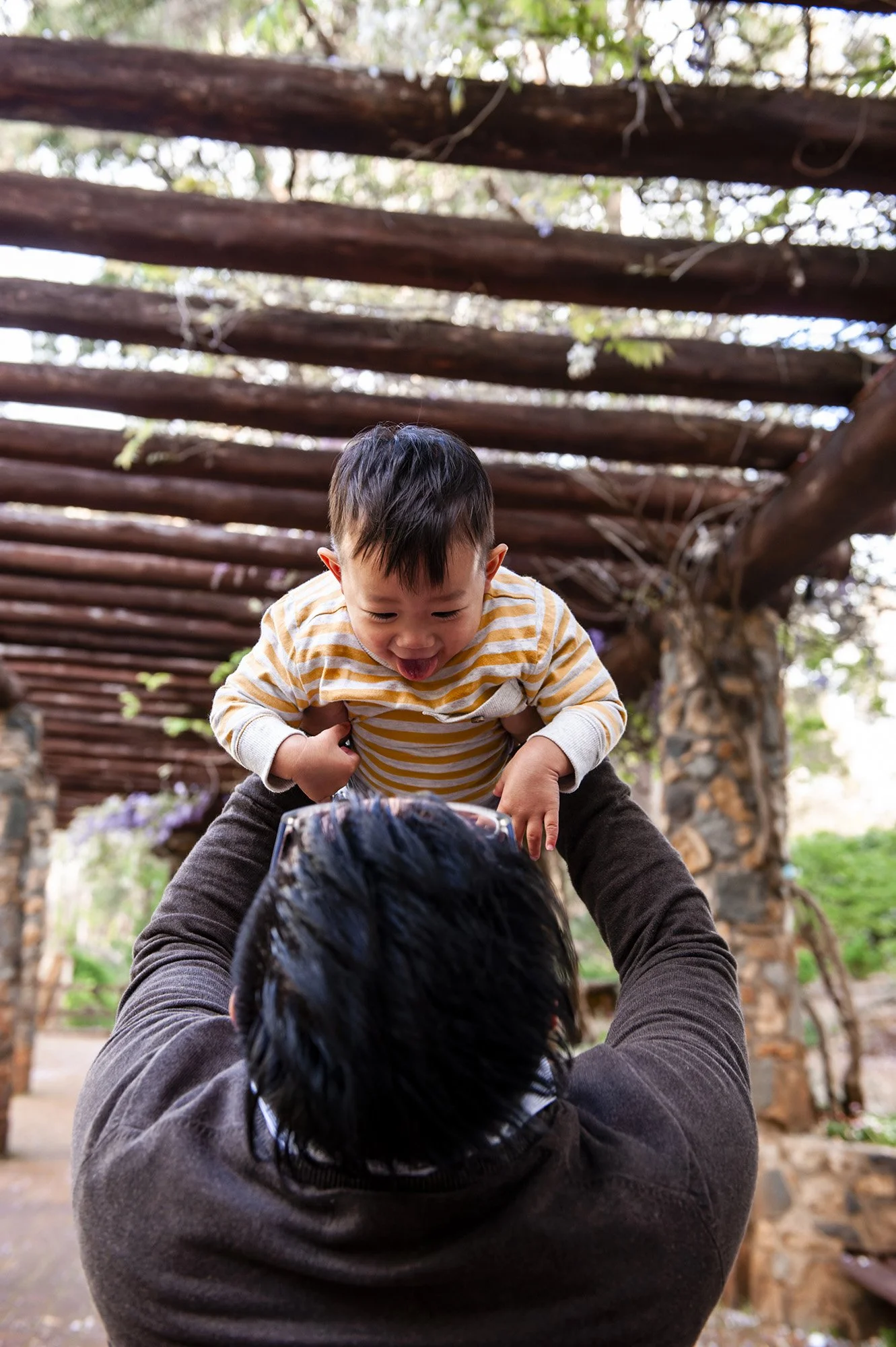 Araluen Botanical Garden Family Portraits Chapter Capture Photography 14.jpg