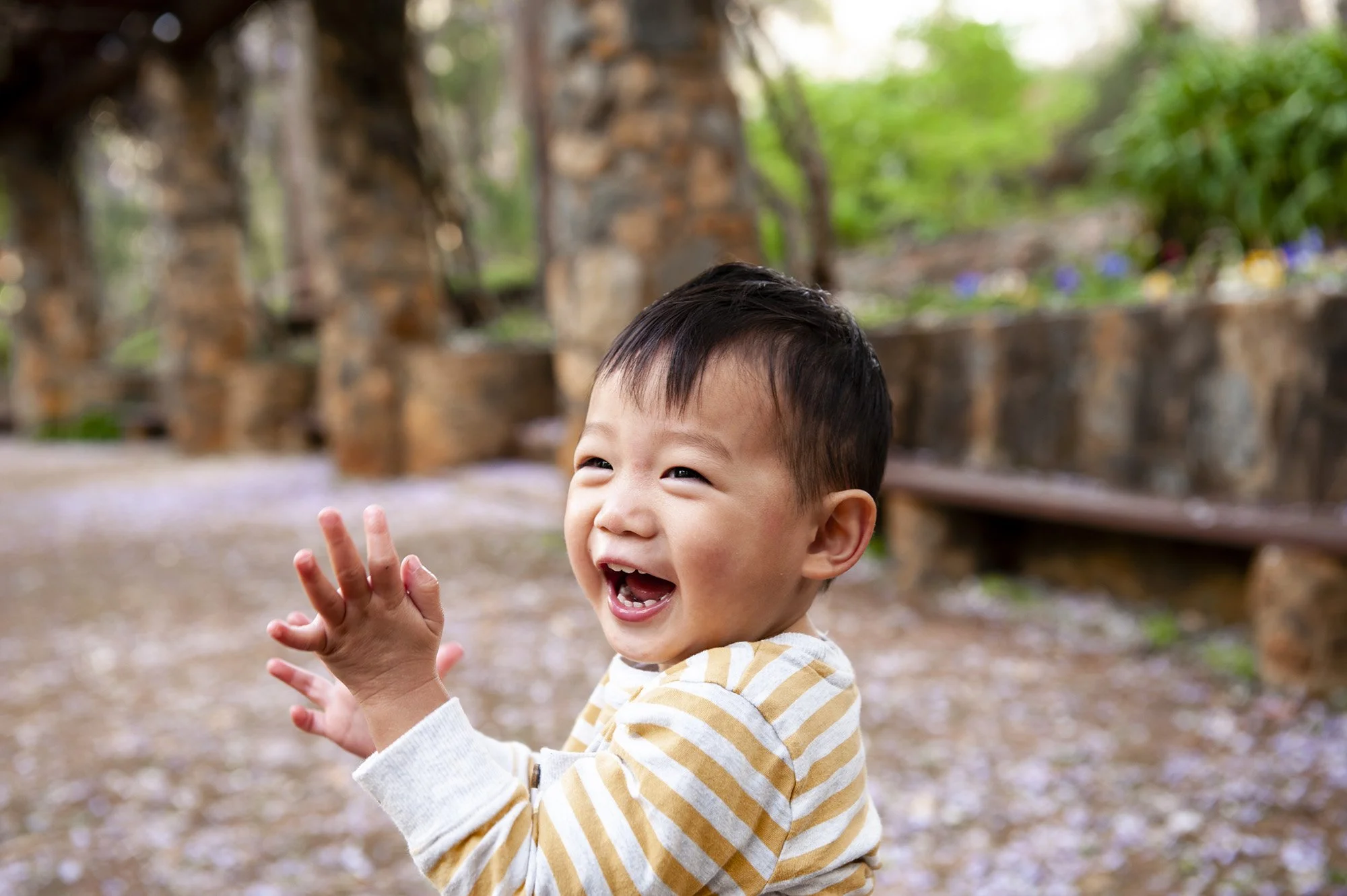 Araluen Botanical Garden Family Portraits Chapter Capture Photography 15.jpg