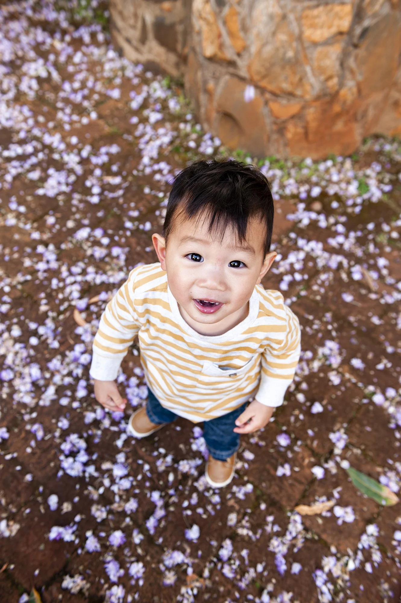 Araluen Botanical Garden Family Portraits Chapter Capture Photography 17.jpg