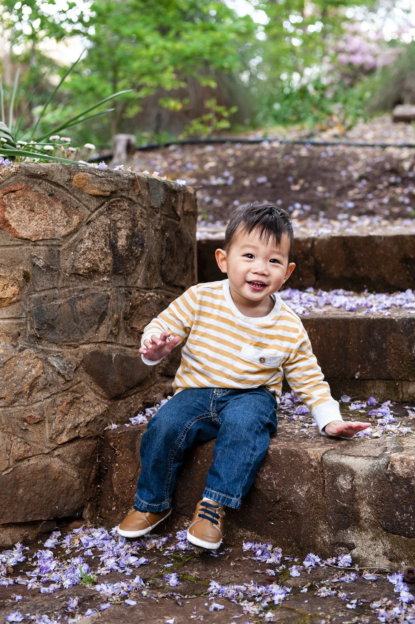 Araluen Botanical Garden Family Portraits Chapter Capture Photography 18.jpg