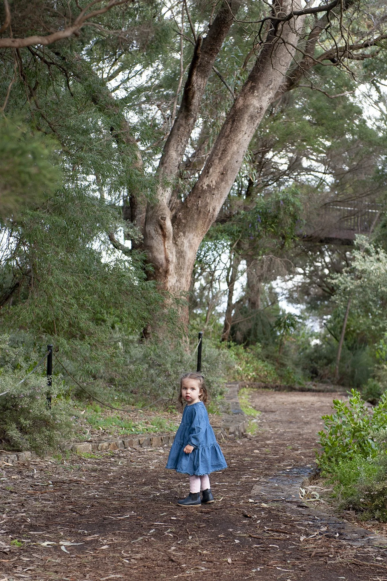 Kings Park Family Portraits Chapter Capture Photography 8.jpg