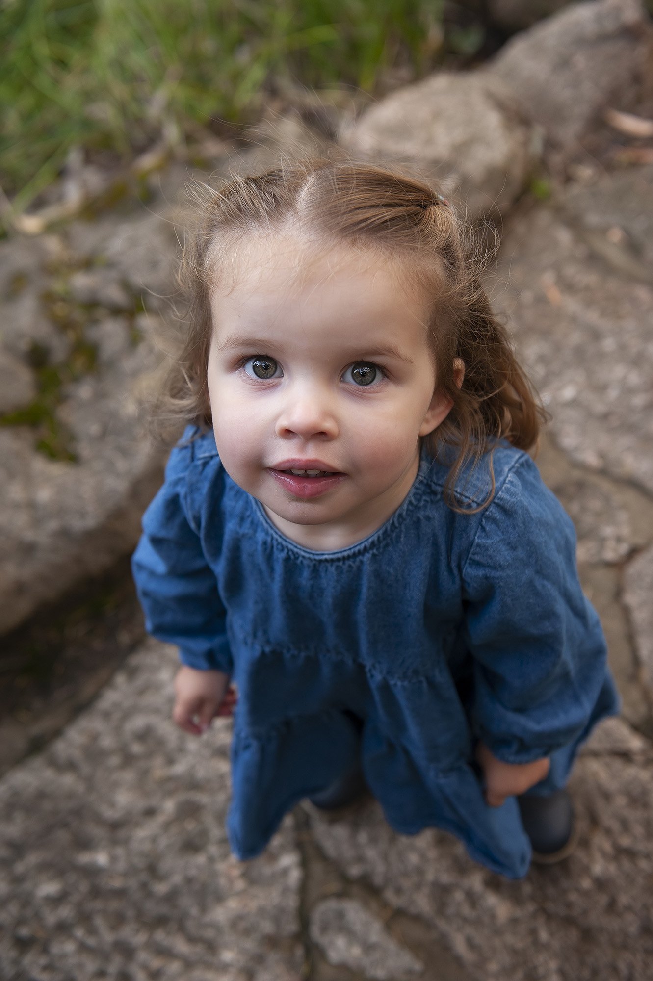 Kings Park Family Portraits Chapter Capture Photography 14.jpg