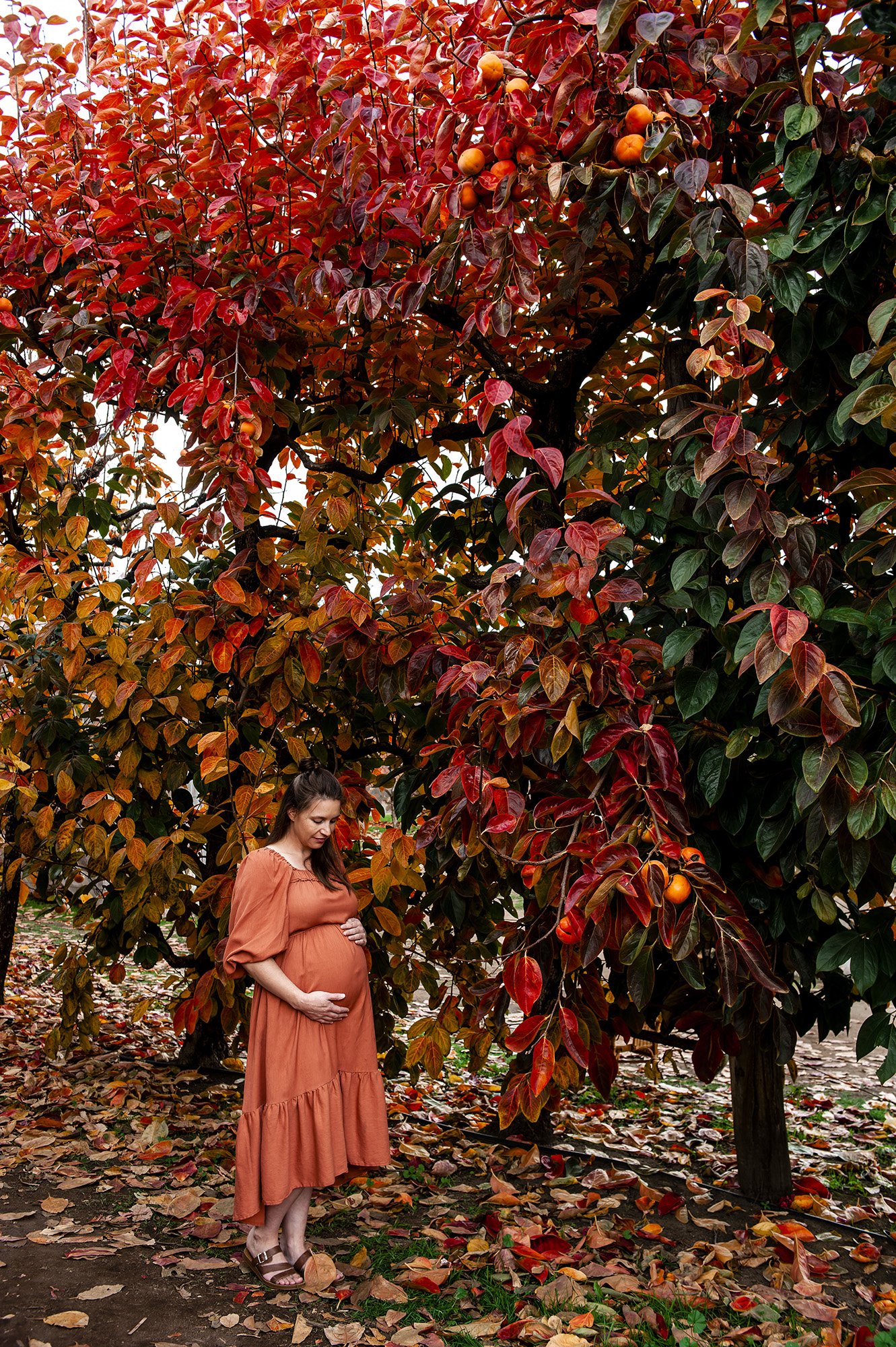 Raeburn Orchard Maternity Chapter Capture Photography 9.jpg