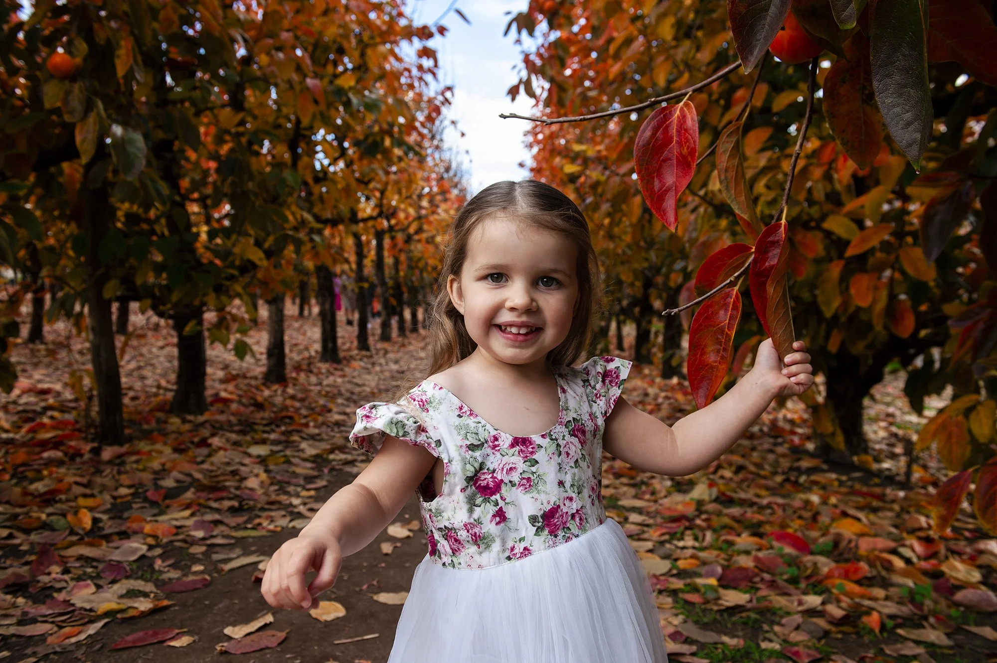 Raeburn Orchard Maternity Chapter Capture Photography 14.jpg