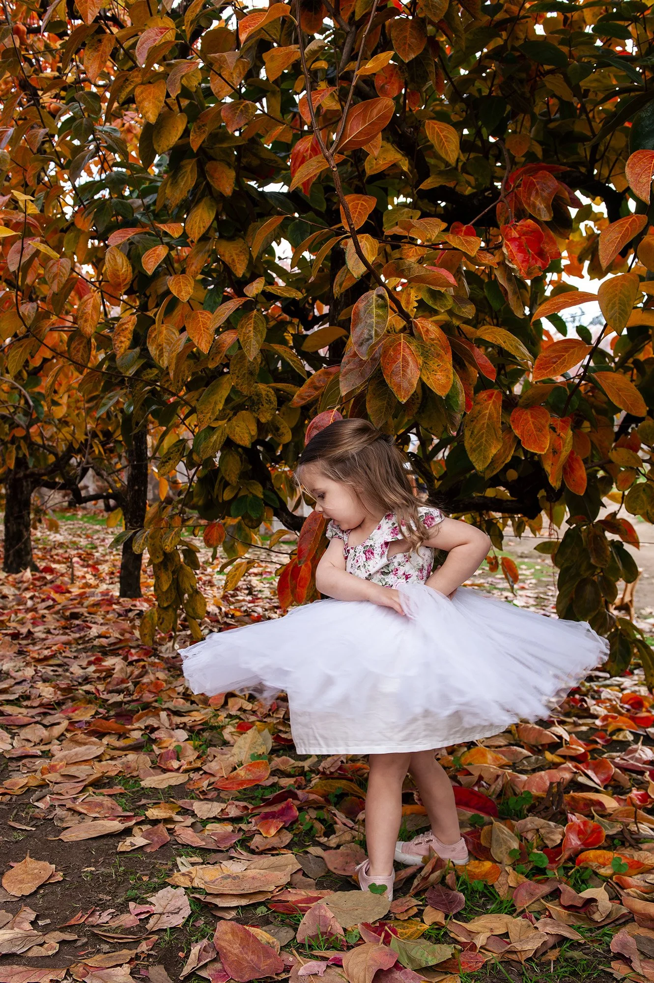 Raeburn Orchard Maternity Chapter Capture Photography 15.jpg