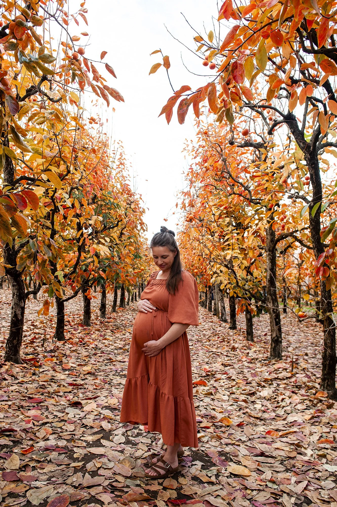 Raeburn Orchard Maternity Chapter Capture Photography 23.jpg