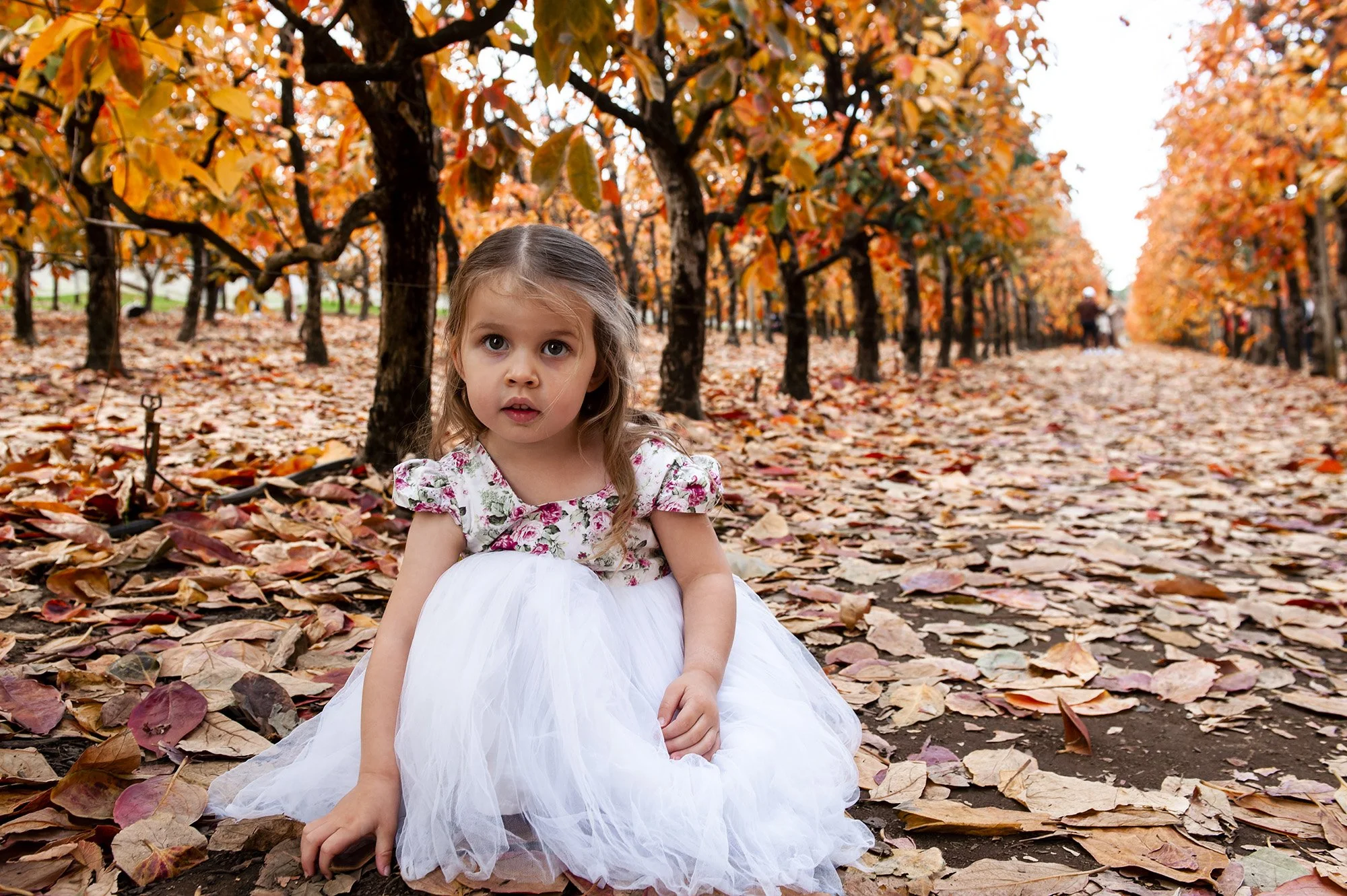 Raeburn Orchard Maternity Chapter Capture Photography 24.jpg