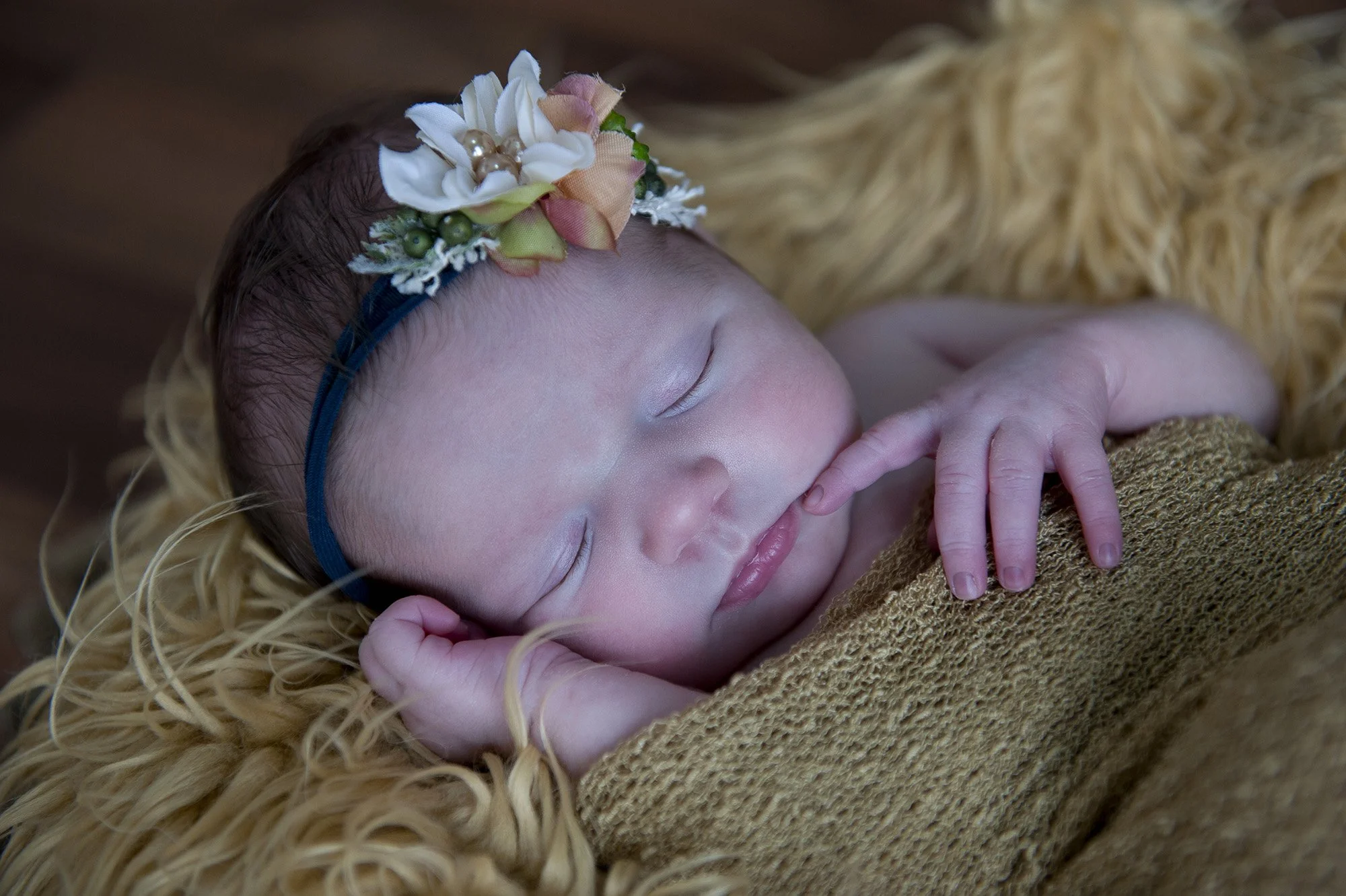 Studio Newborn Chapter Capture Photography 12.jpg