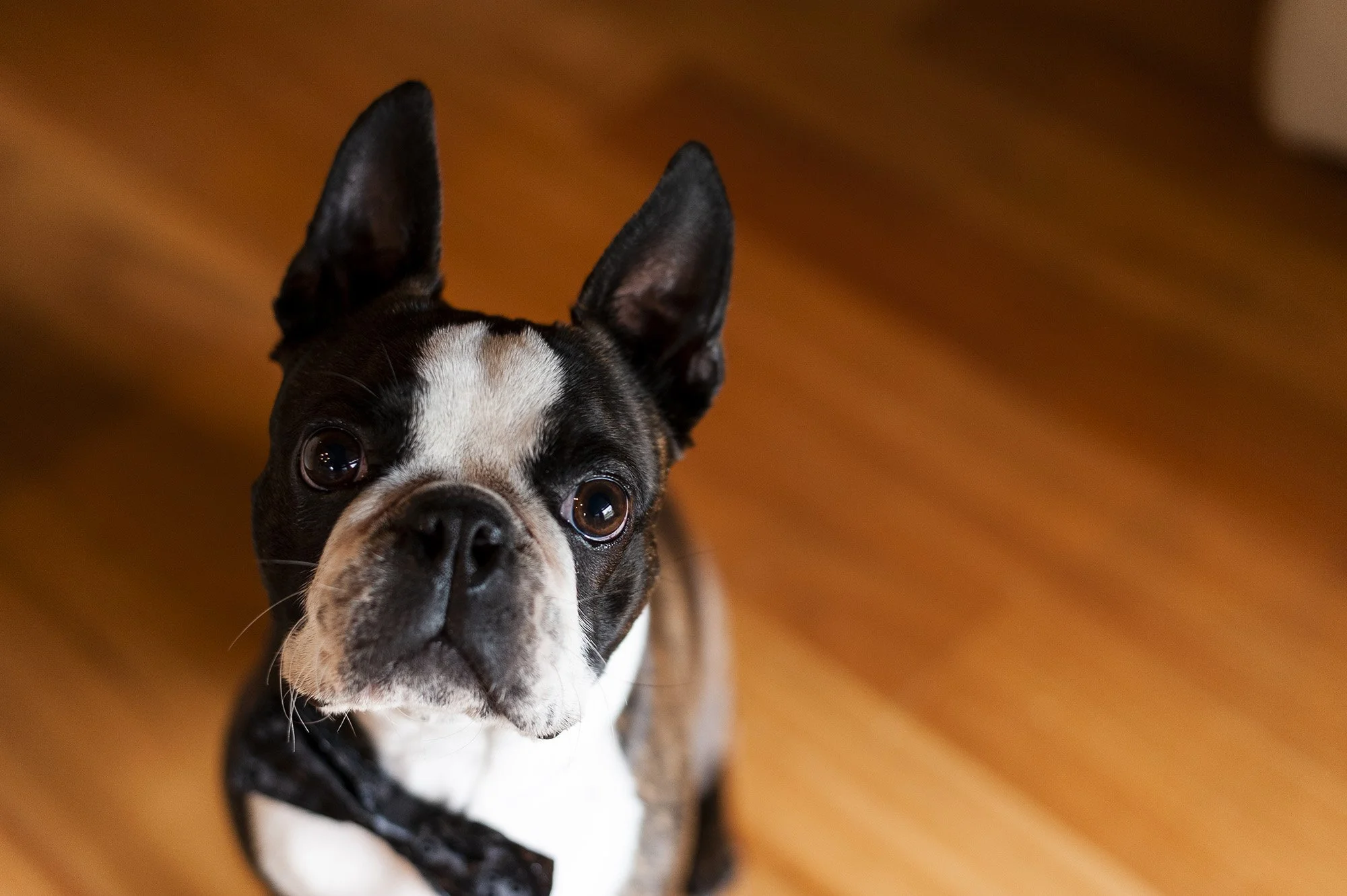 Caversham House Wedding Chapter Capture Photography 26.jpg