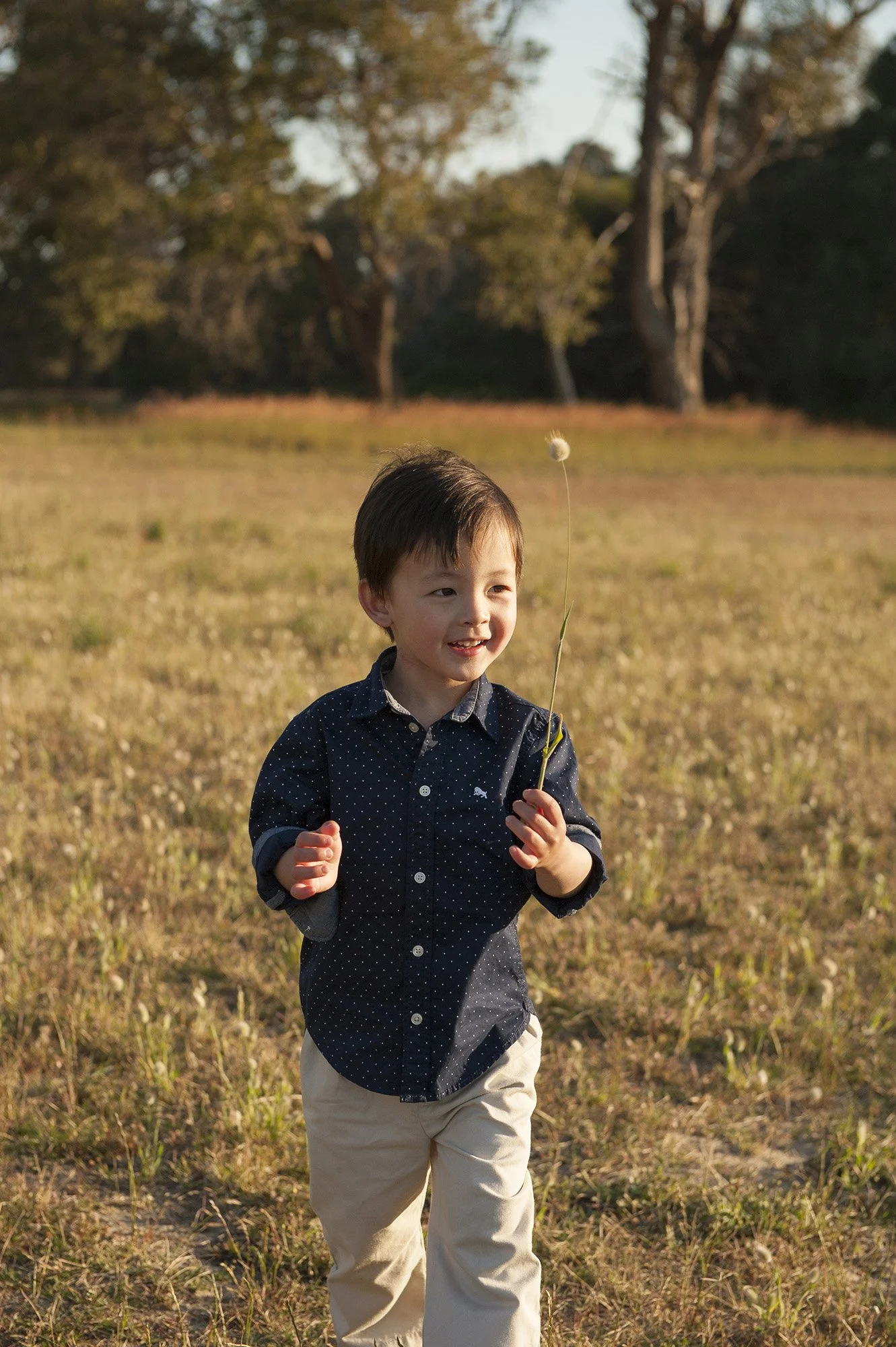 Perrys Paddock Family Portraits Chapter Capture Photography 14.jpg