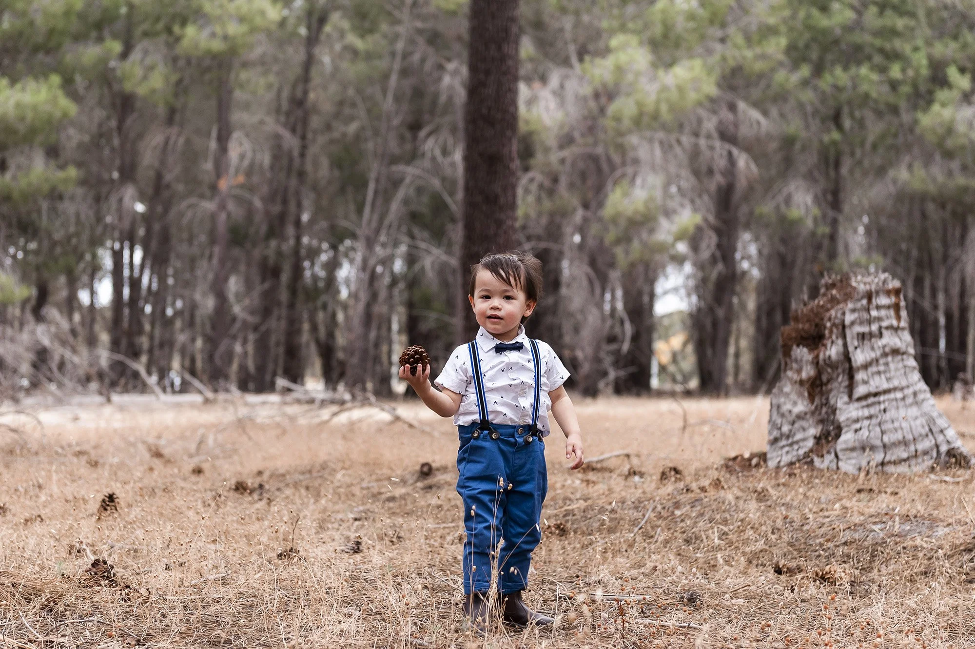 Gnangara Pines Family Portraits Chapter Capture Photography 9.jpg