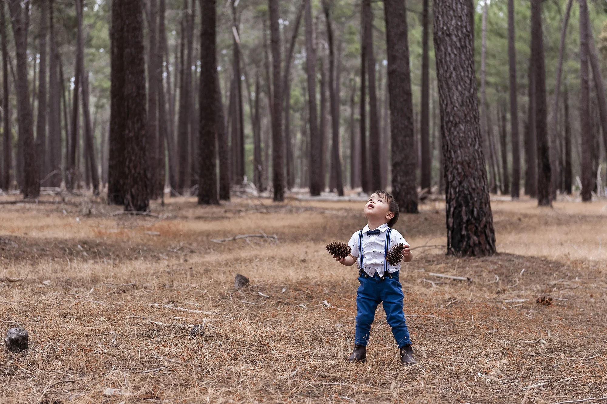 Gnangara Pines Family Portraits Chapter Capture Photography 11.jpg