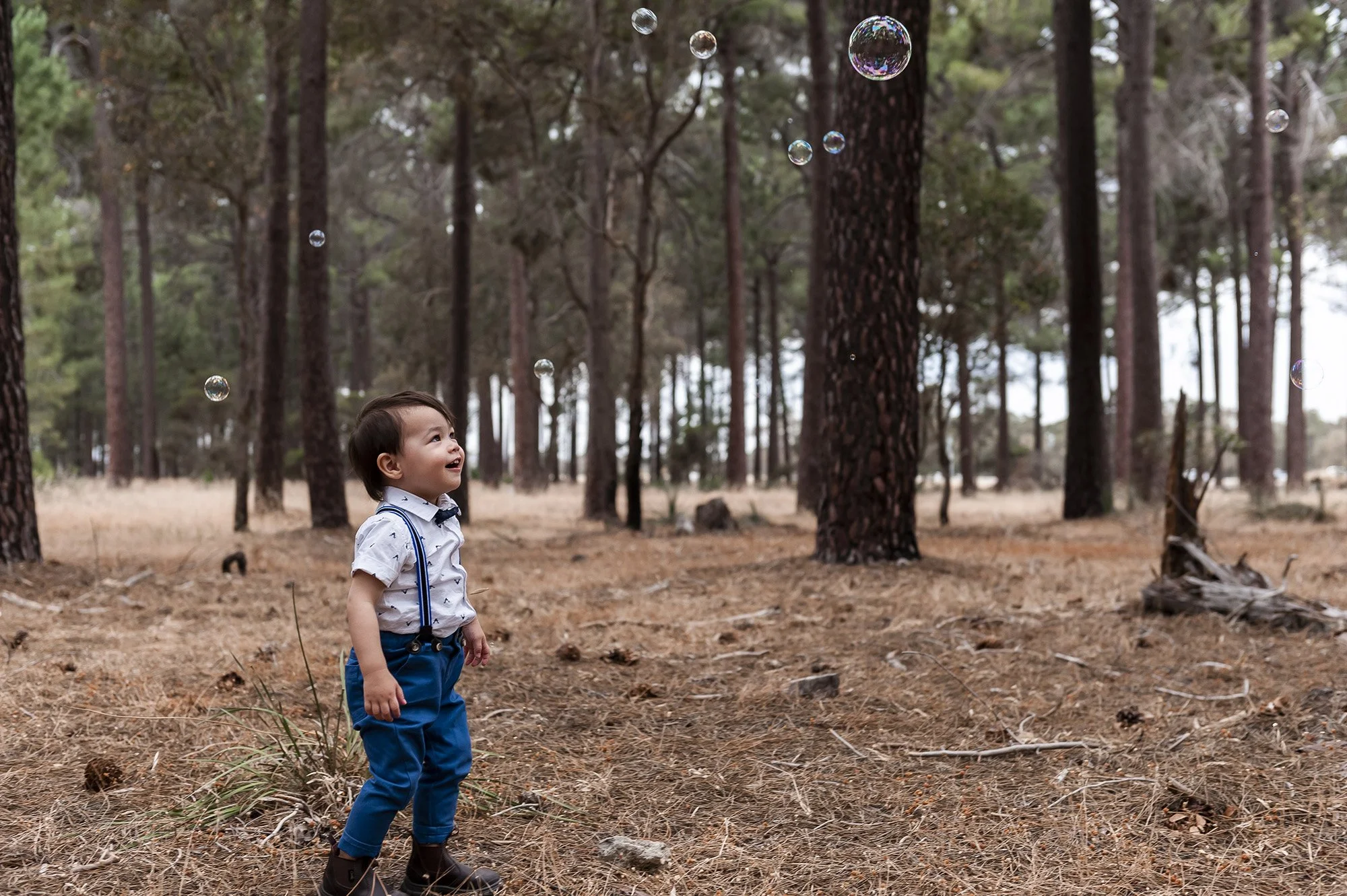 Gnangara Pines Family Portraits Chapter Capture Photography 12.jpg