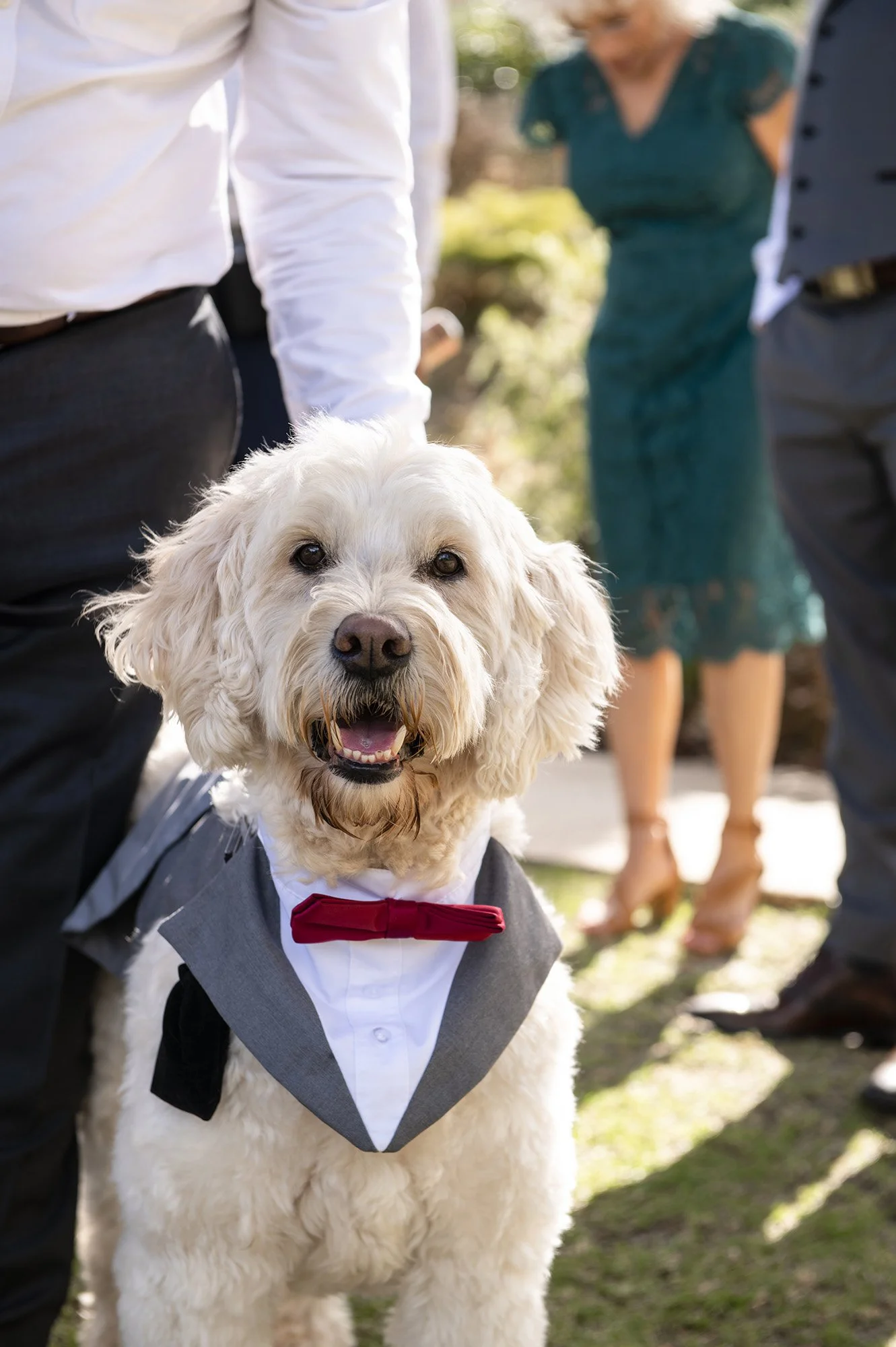 Eight Willows Retreat Wedding Chapter Capture Photography 1.jpg