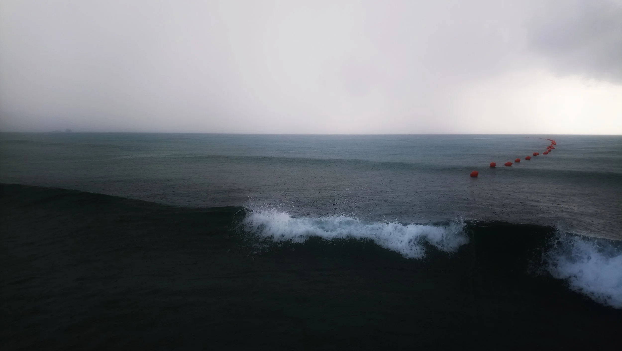 DSC_0482-01.jpeg