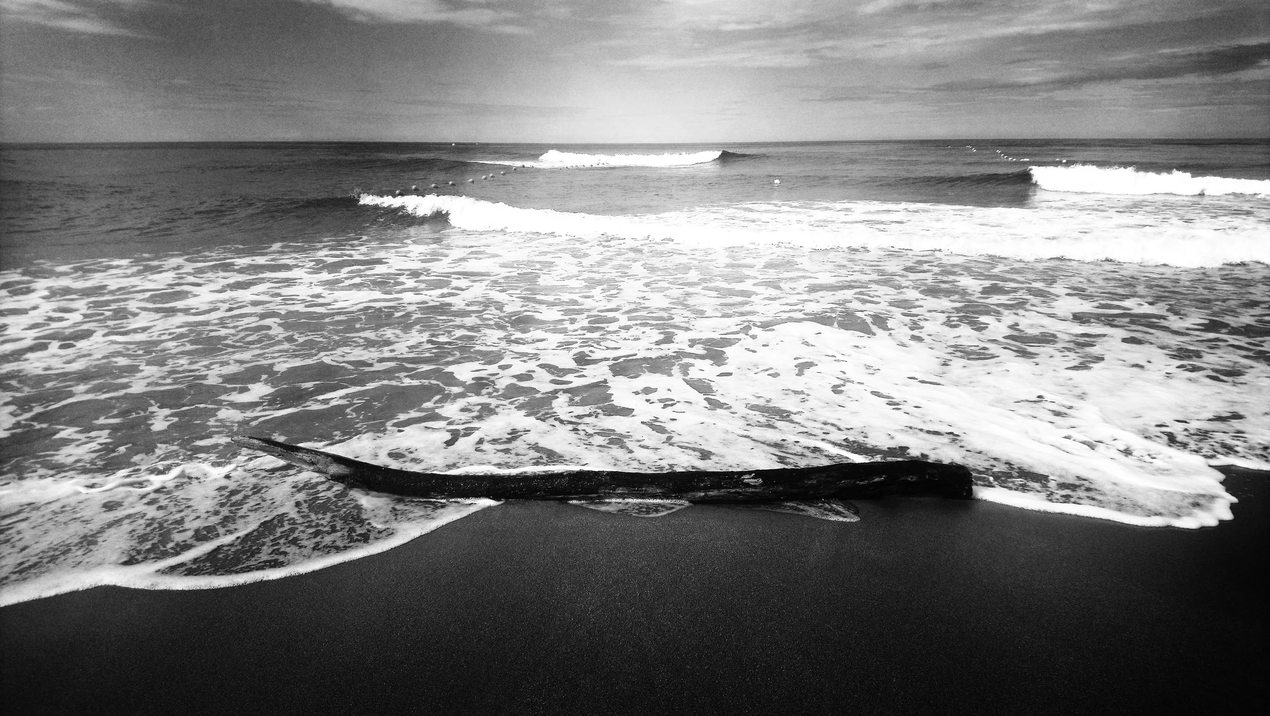 DSC_0632-01.jpeg