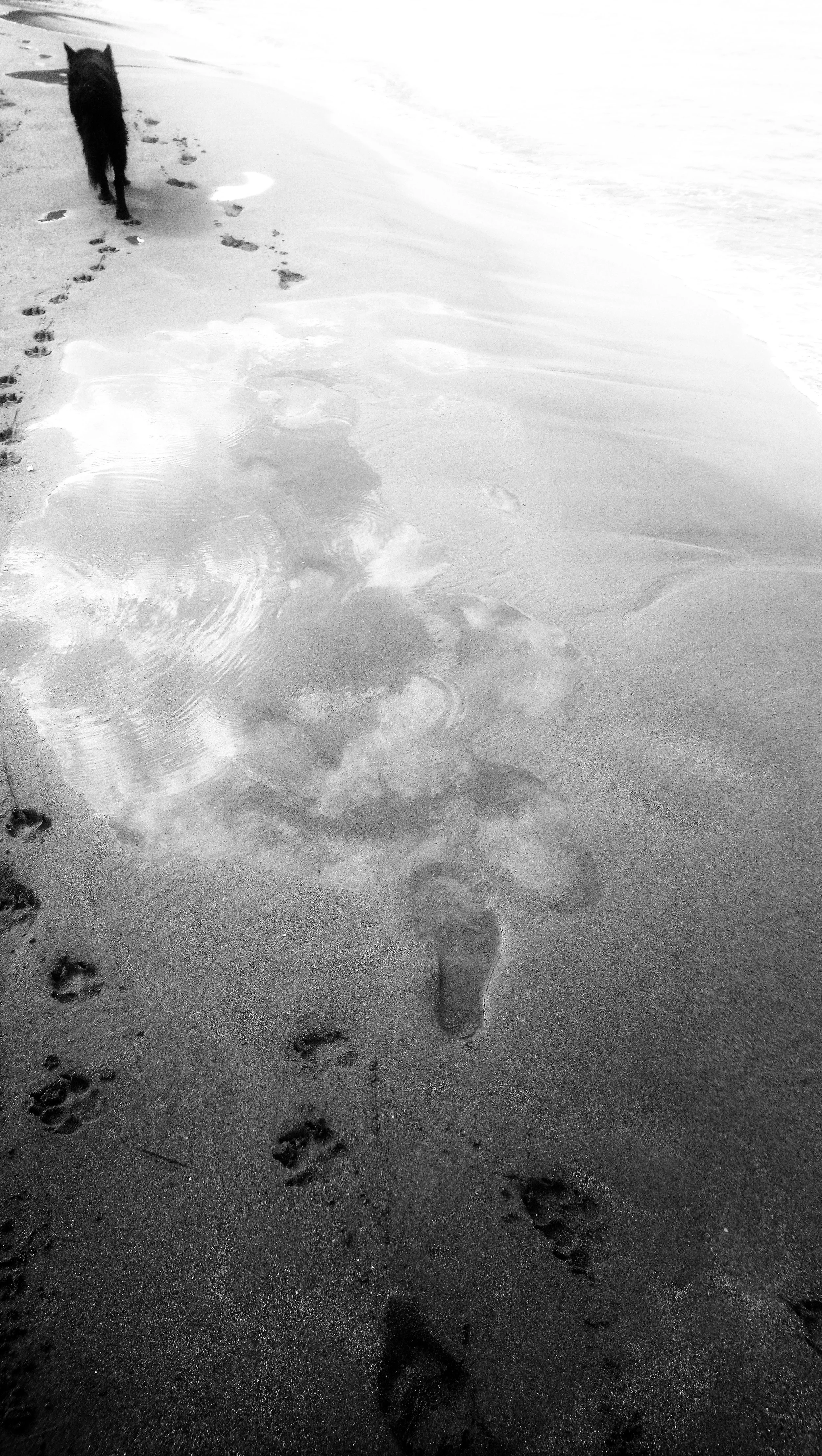 DSC_0759-01.jpeg