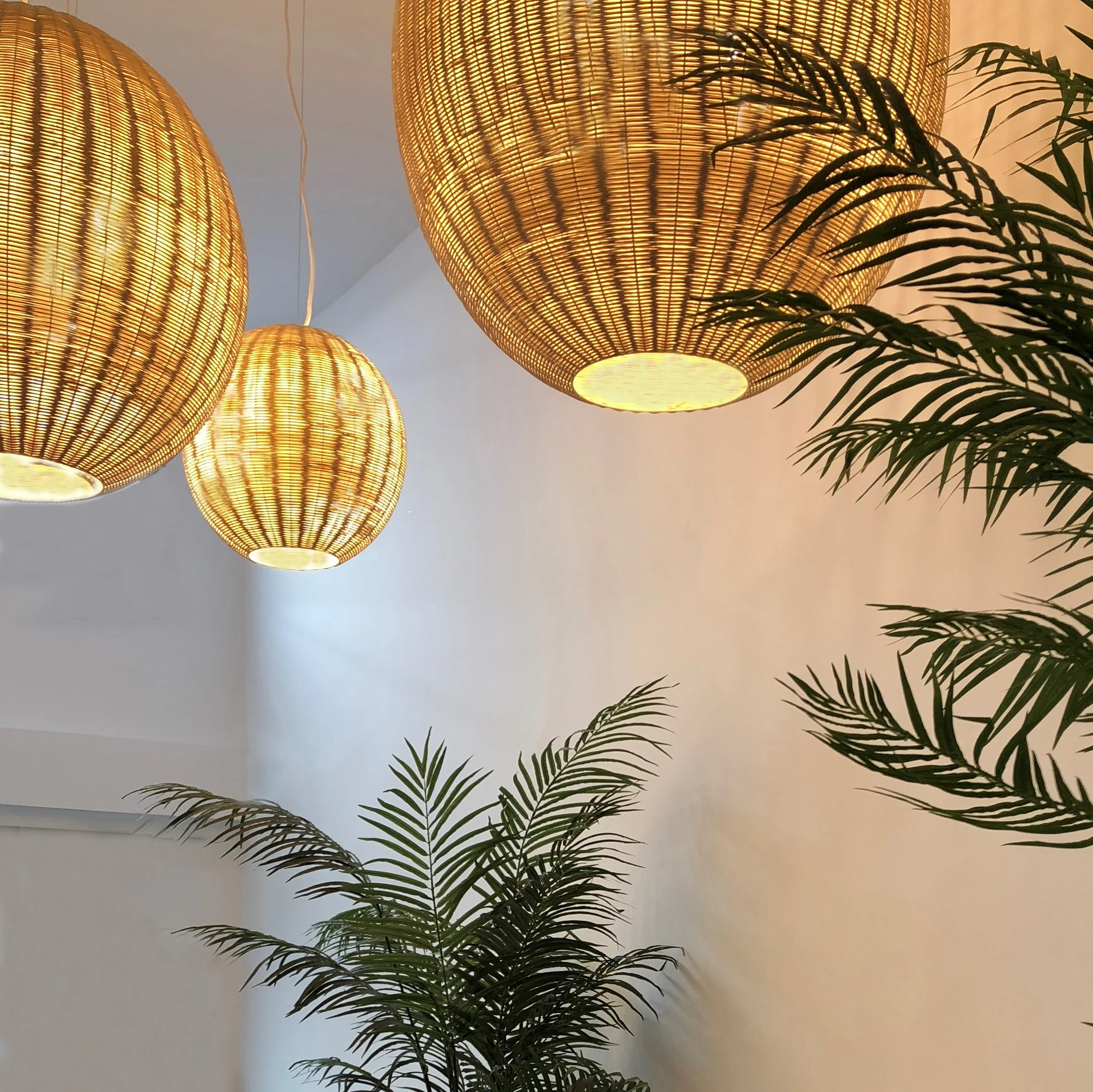 ....Lámparas de médula de ratán..Rattan hanging lamps....