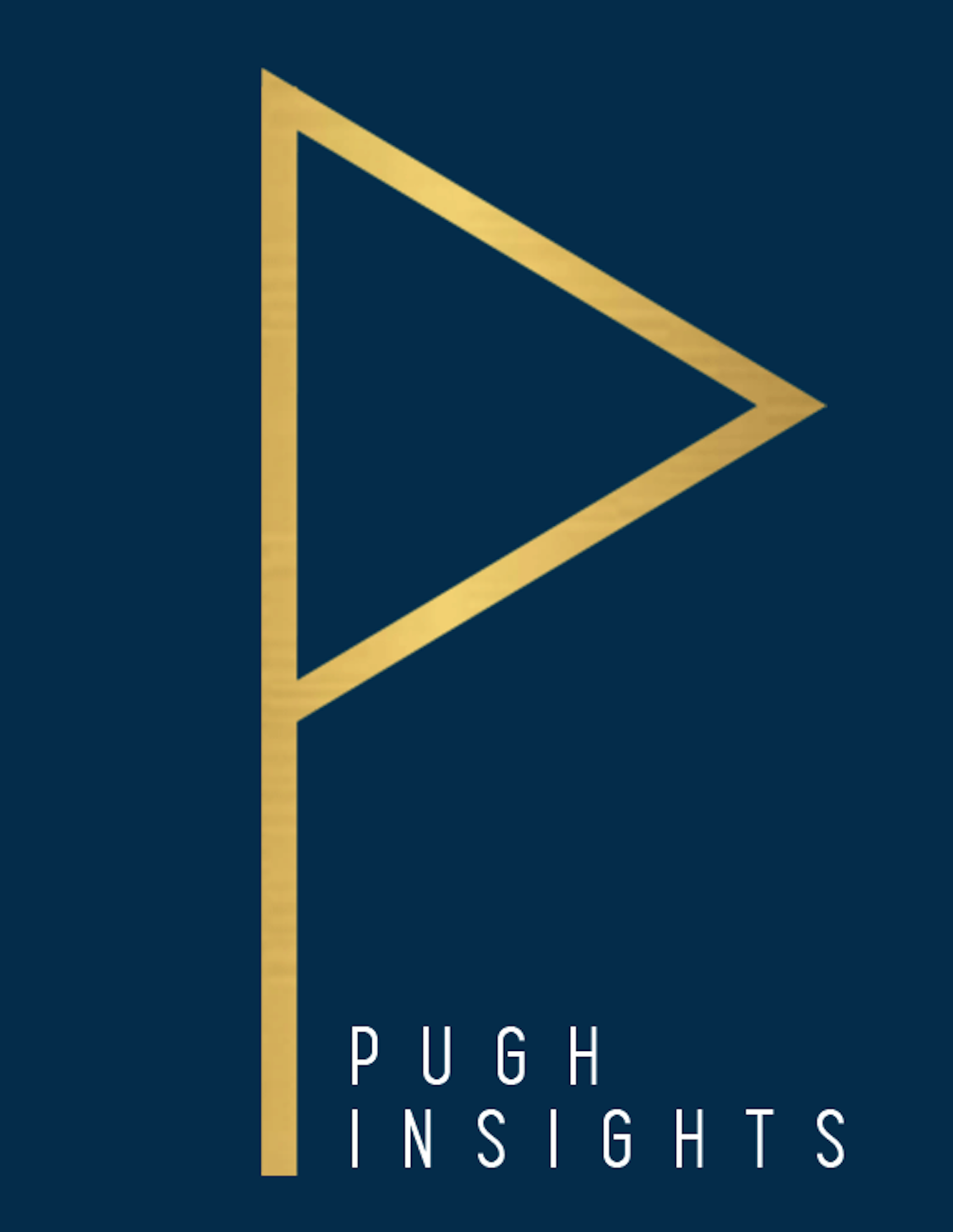 Pugh Insights | Operational Sustainability for Entrepreneurs and Teams