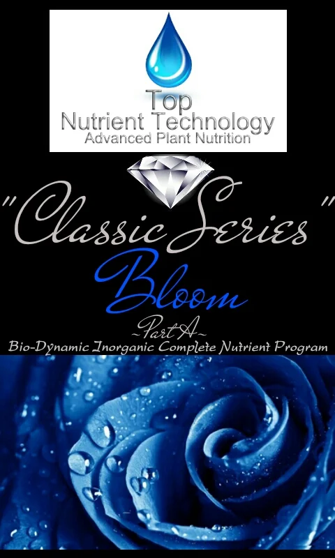 CLASSIC SERIES BLOOM PART A