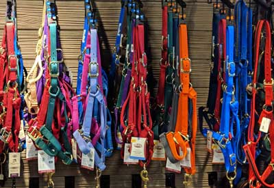wall displaying numerous horse halters