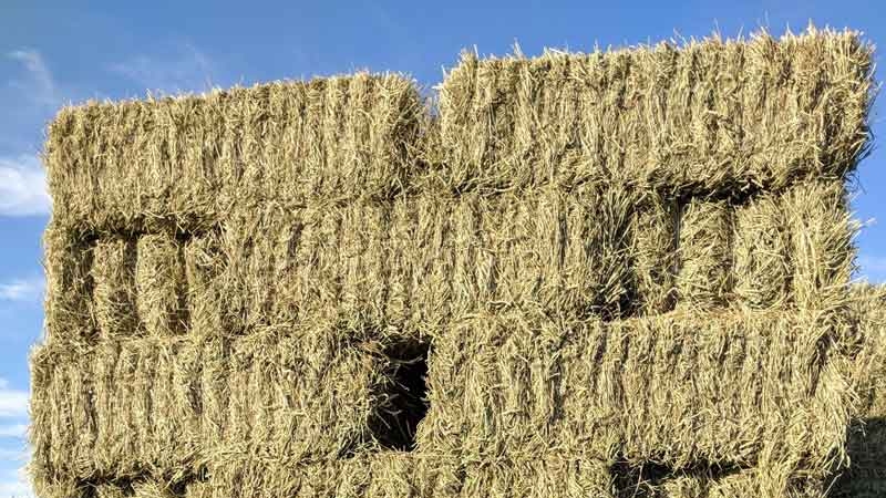 stack of hay bales