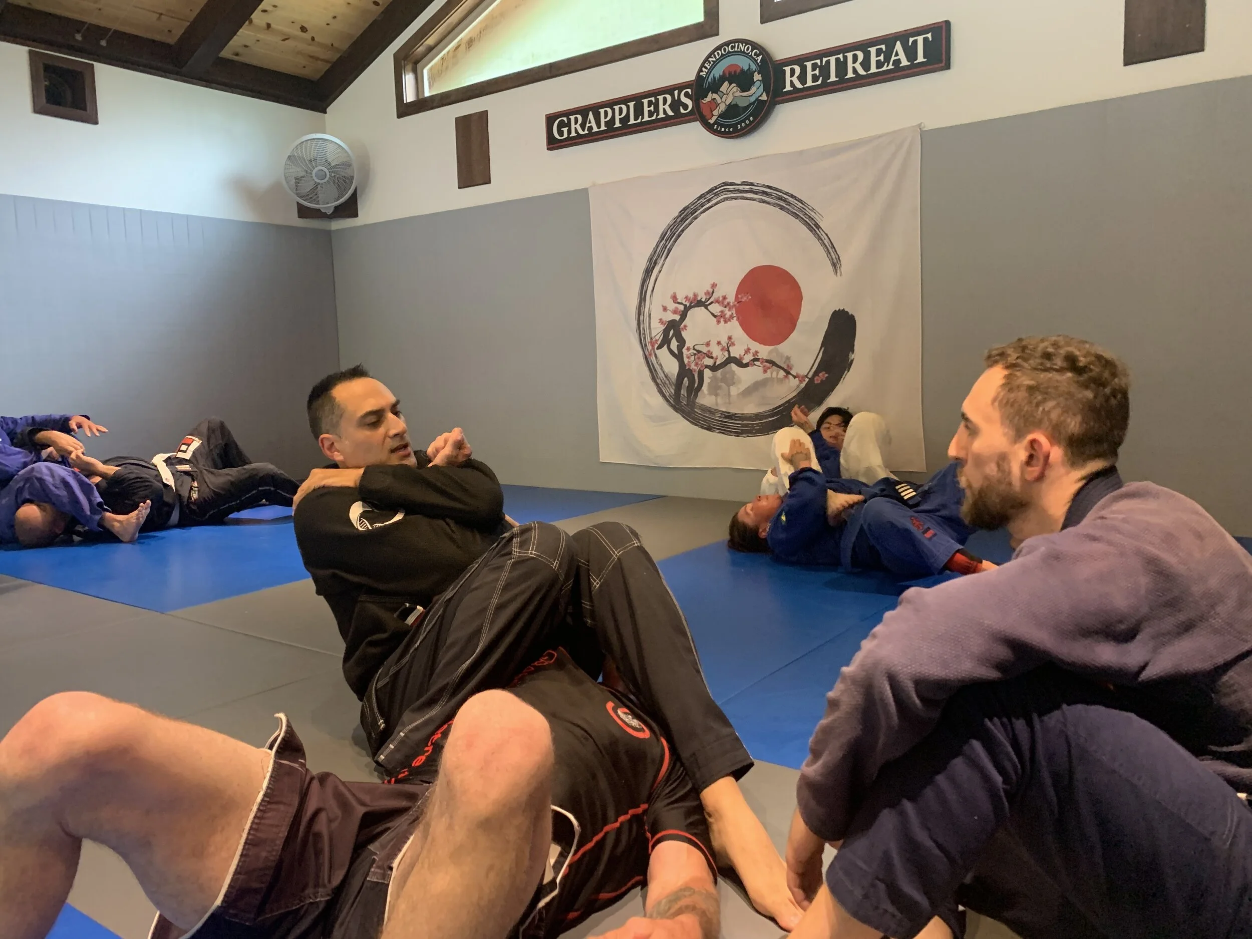 roy dean bjj