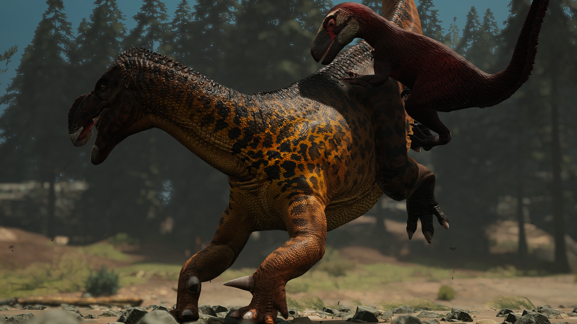 An oranage and black Iguanodon is attacked by a red Achillobator.
