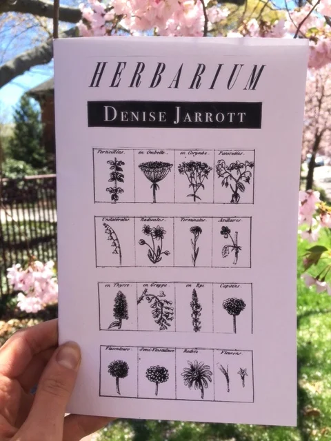 herbarium%2Bcover%2Bimage.jpg