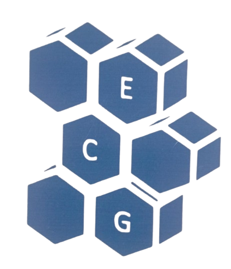 Excel Consulting Group.png