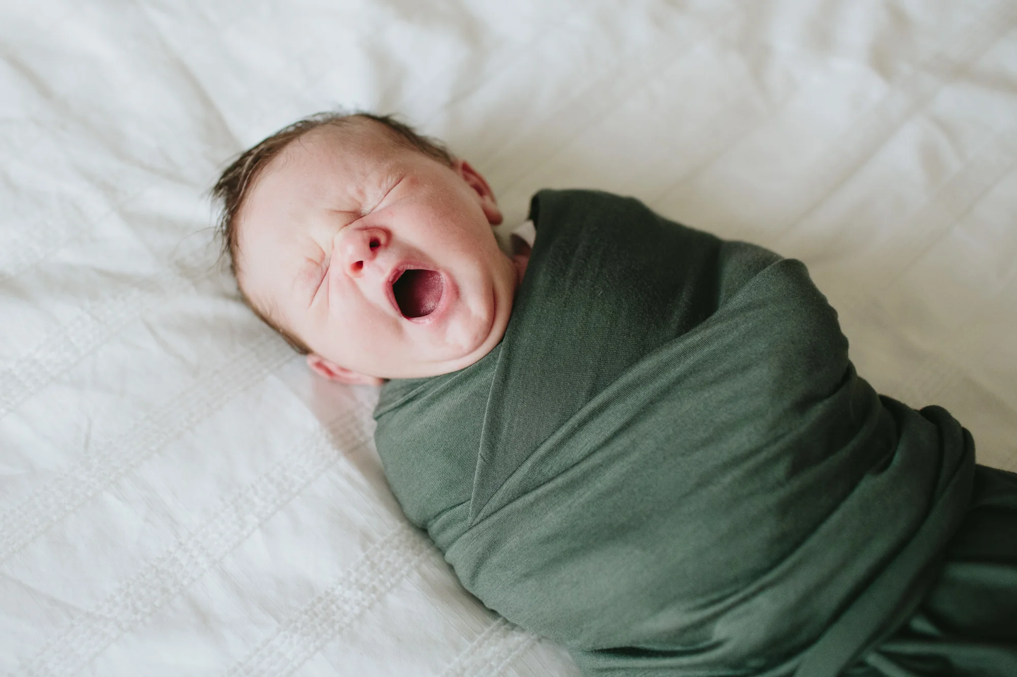 Baby Judah — Lisa Hayman Photo + Film