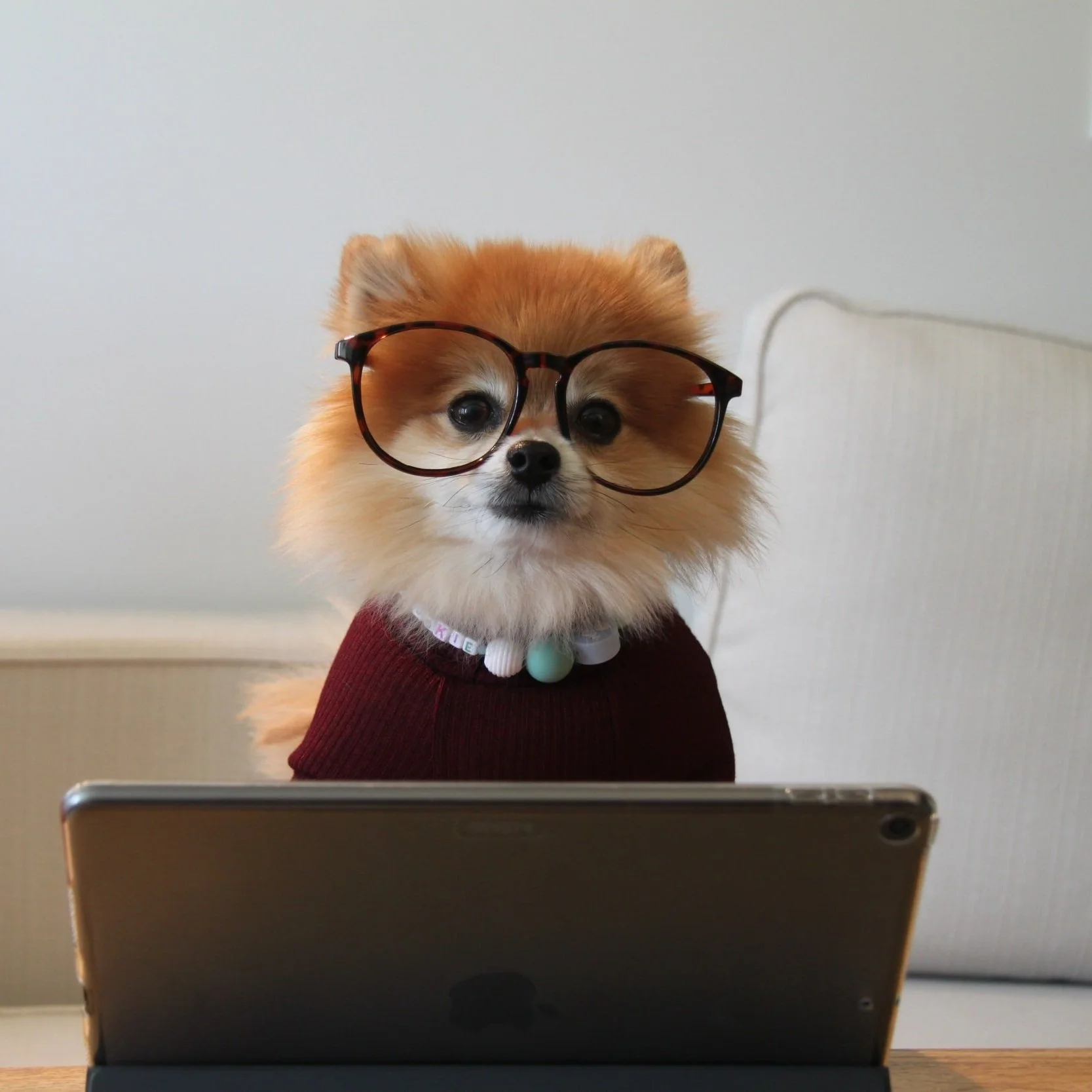 4 Medical Skills No One Talks About