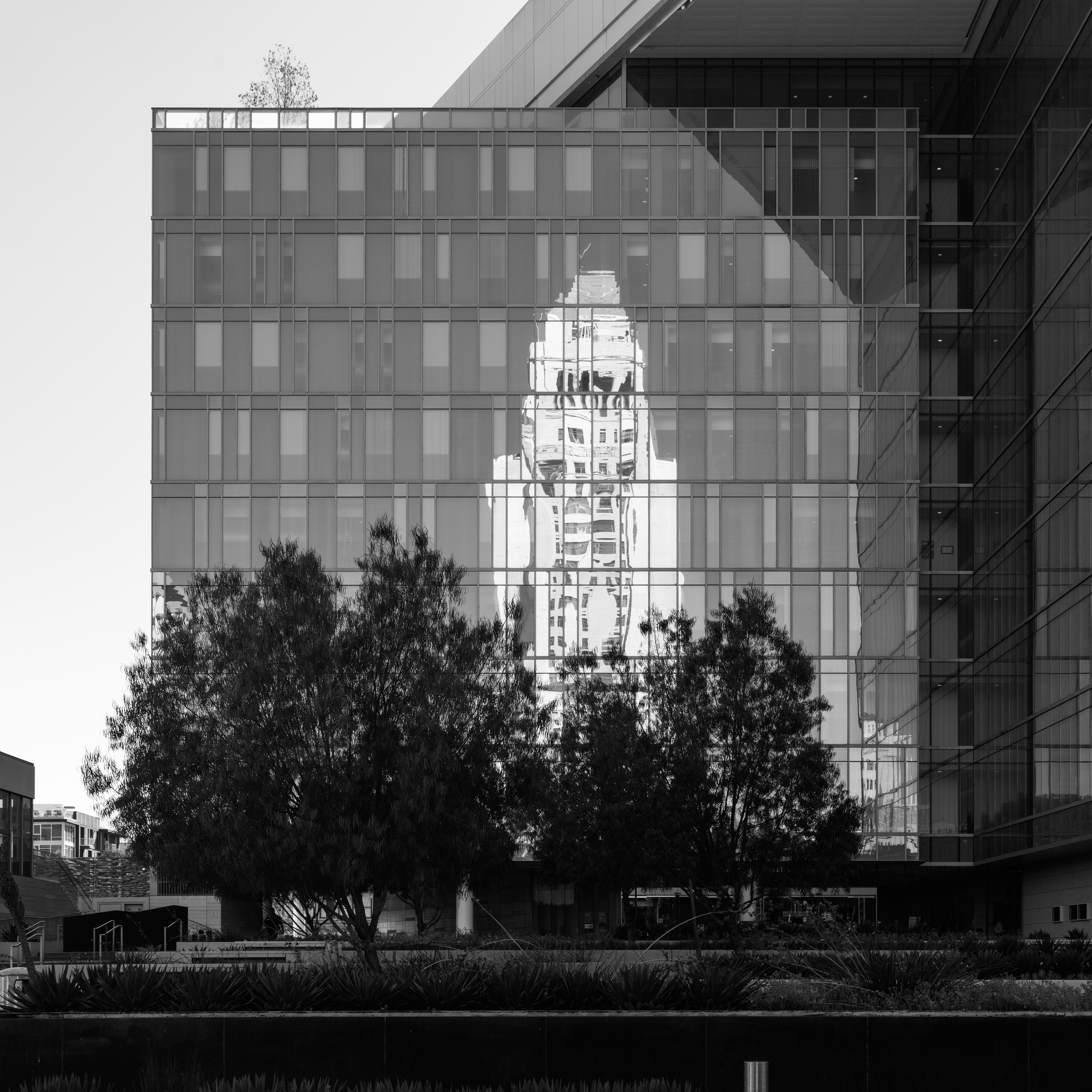 LOS ANGELES CITY HALL REFLECTIONS