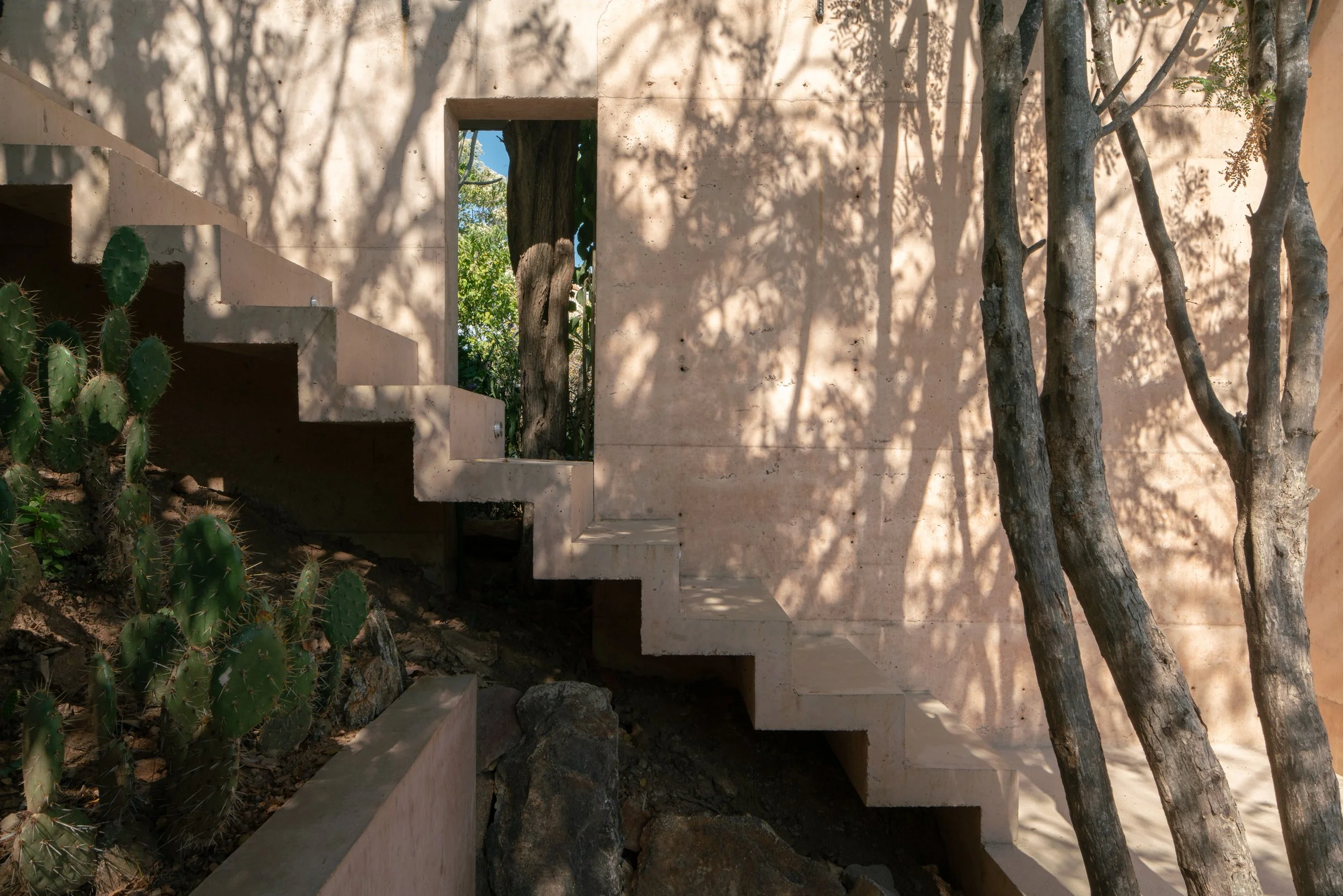 RIELA_EXTERIOR_A7R0925.jpg