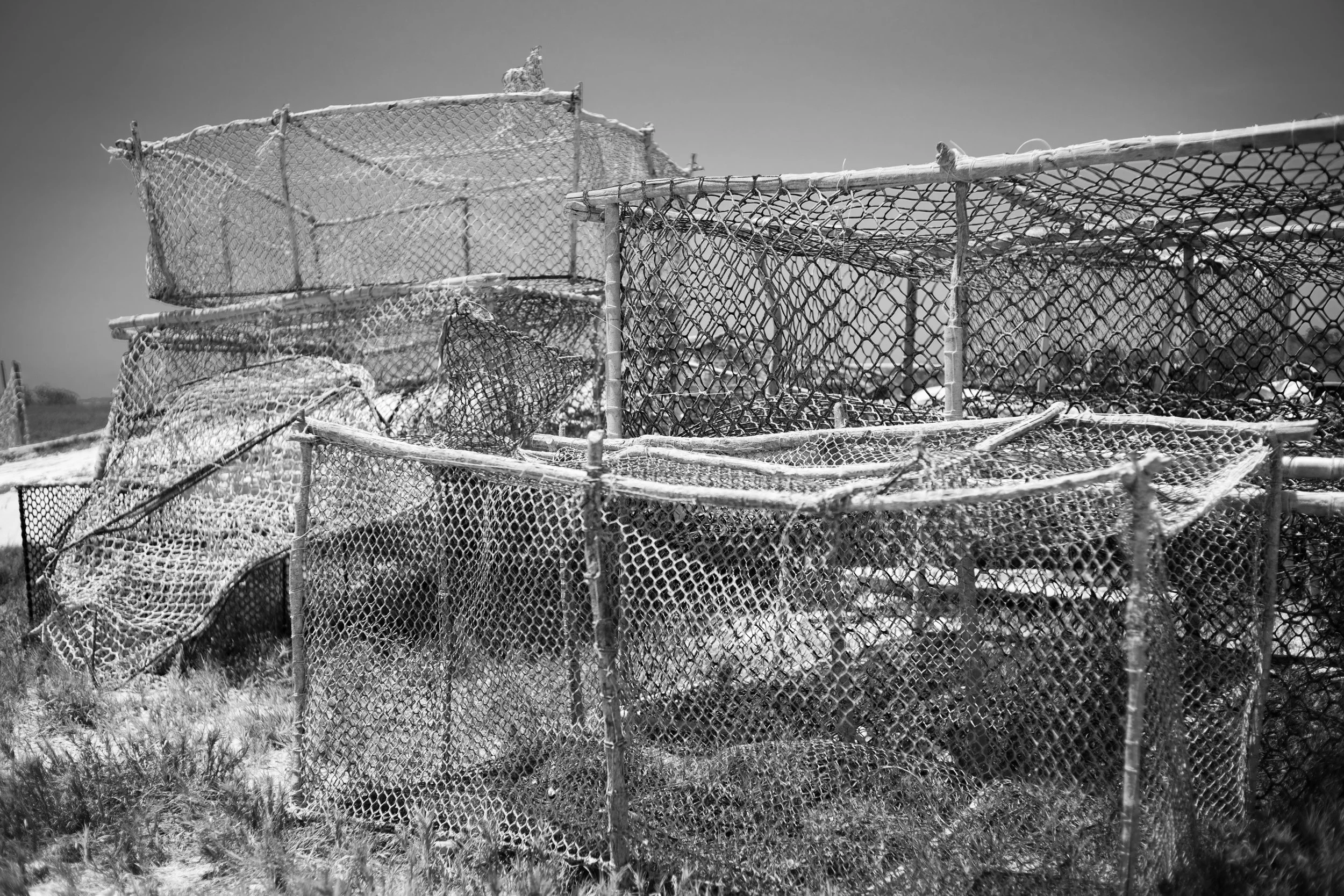 _A7R1793.jpg