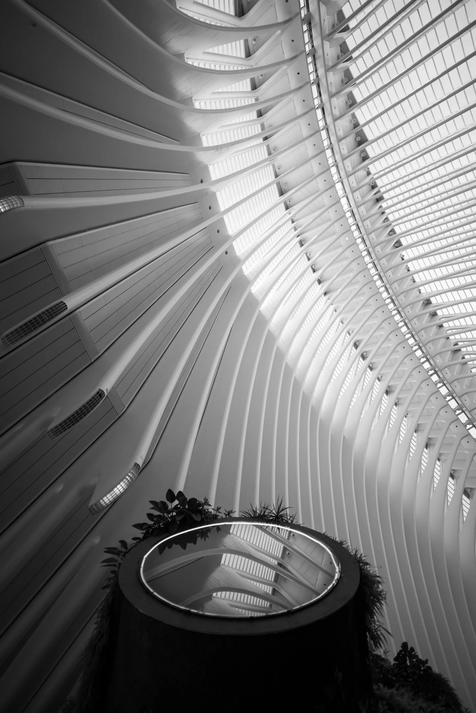 _A7R0063.jpg