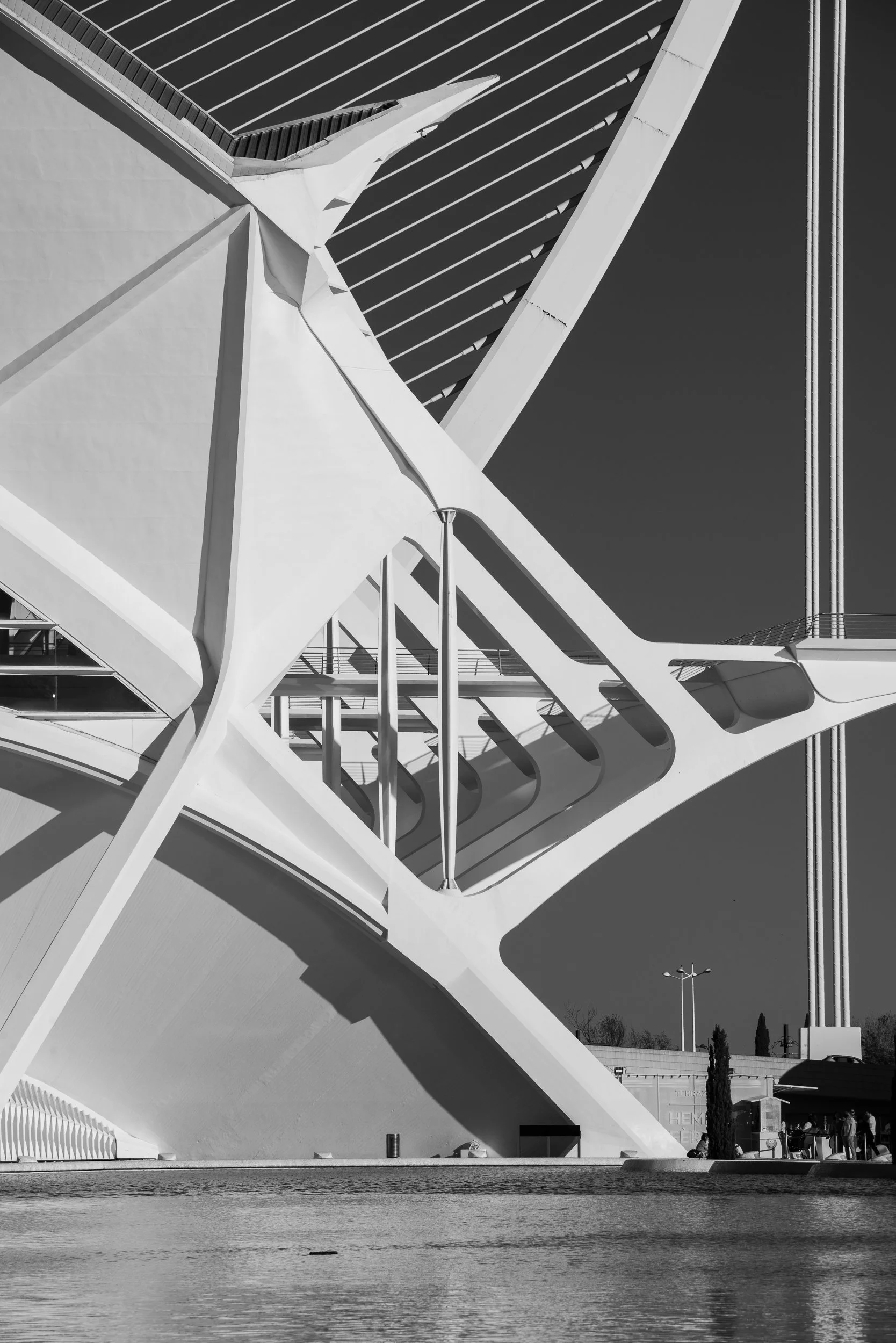 _A7R0663.jpg