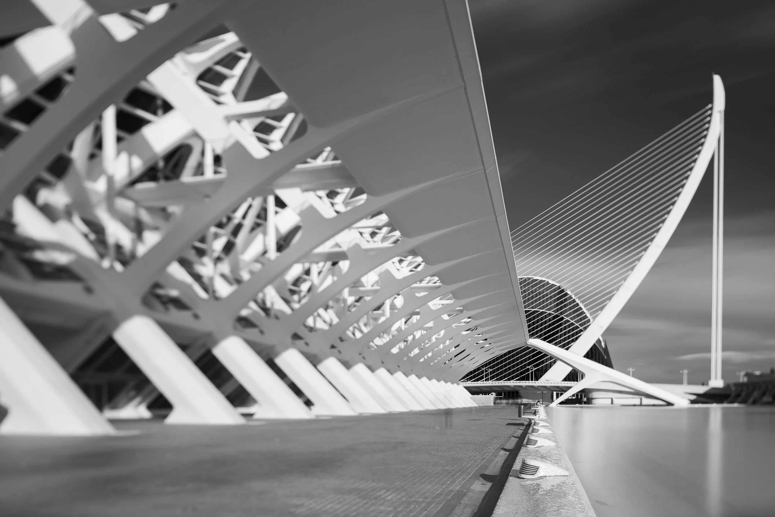 _A7R0720.jpg