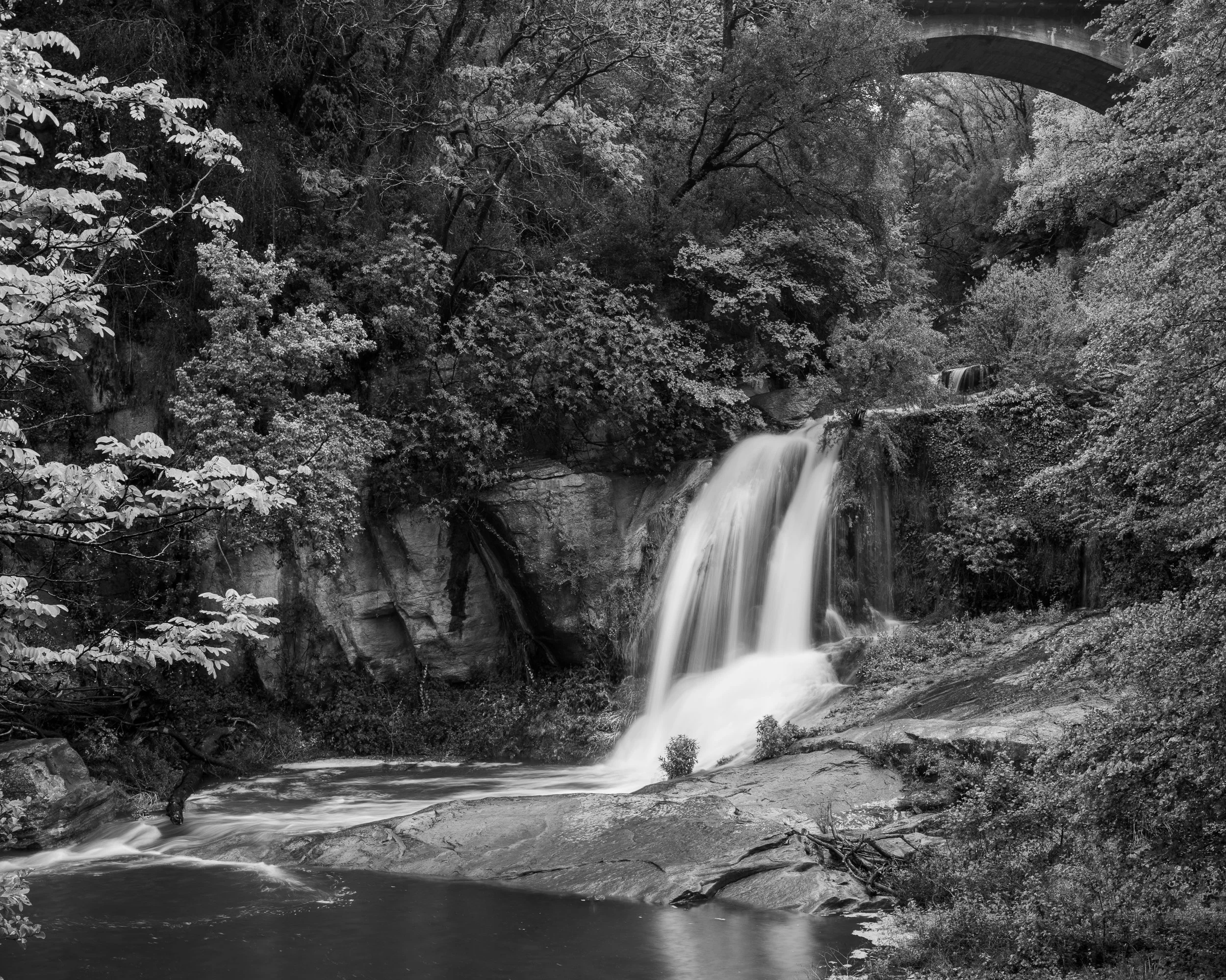 _A7R0211.jpg