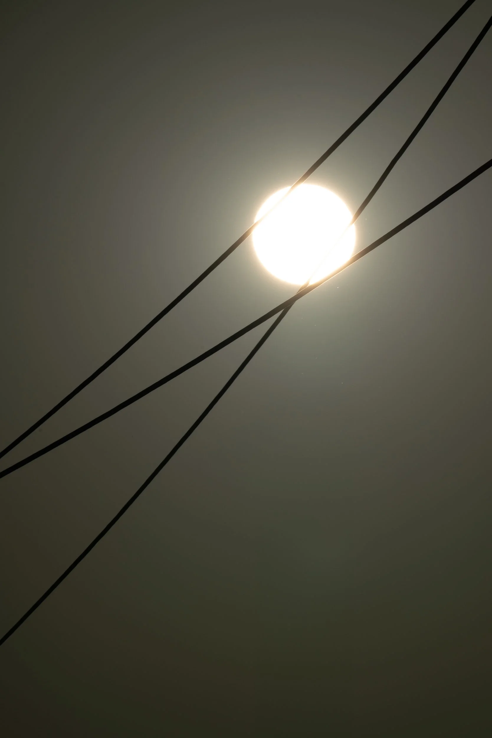 _A7R0794.jpg