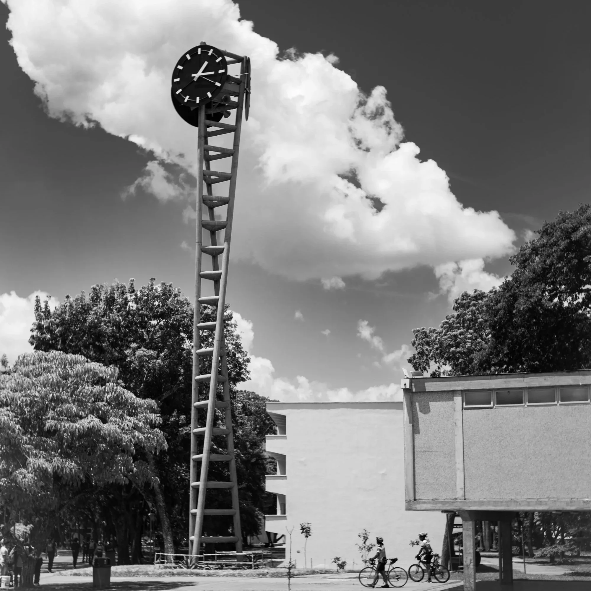 _A7R1983.jpg