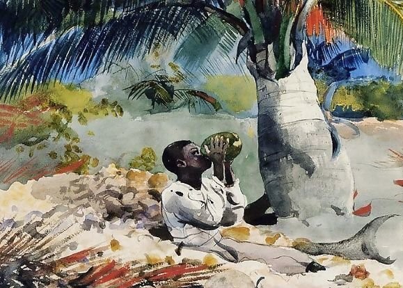 Under the Coco Palm