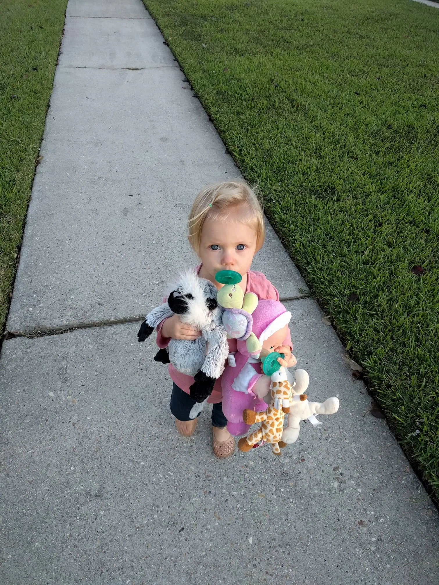 Oh, you know, just taking a walk with my mom and my five favorite stuffed animals.