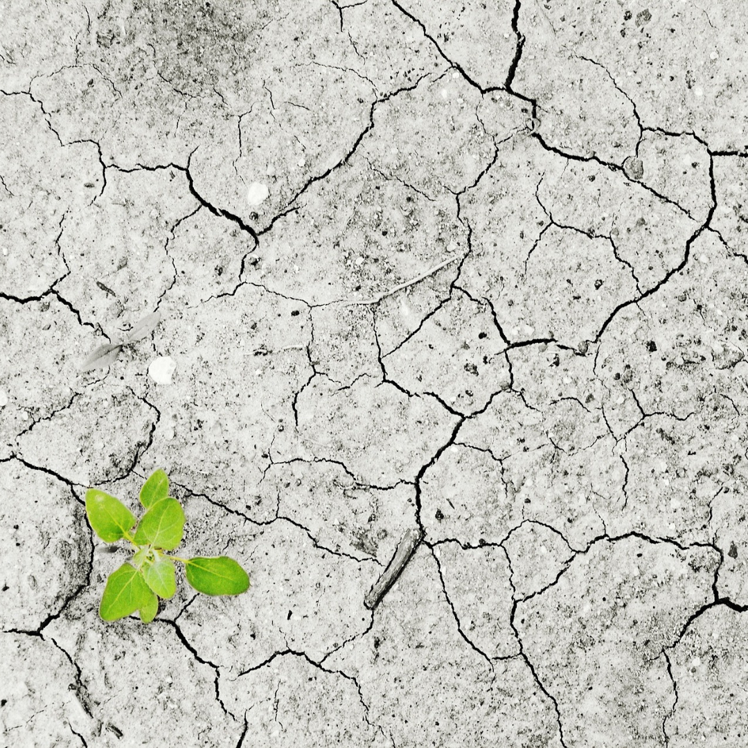 Copy of When the Mess Becomes a Message.png