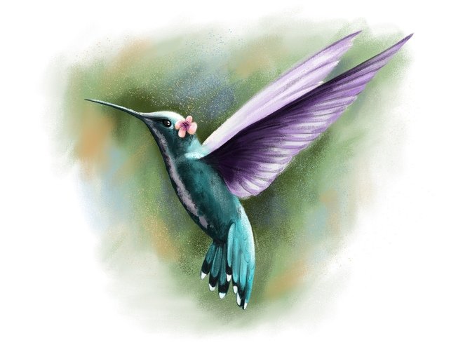 page_24__hummingbird.jpg