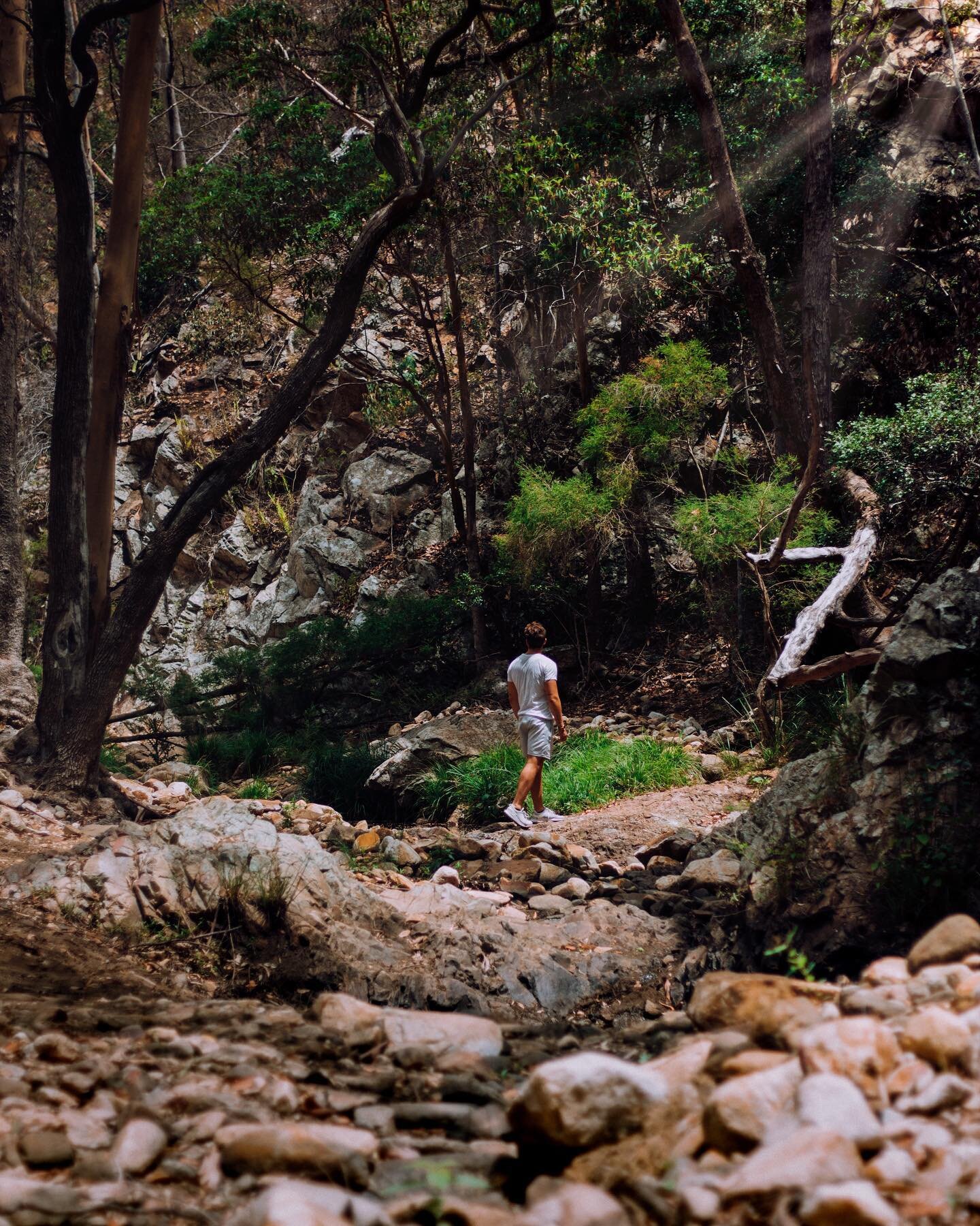 Only one who wanders finds new paths. 🧭
.
.
.
.
.
.
.
#scenicrim #thisisqueensland #seeaustralia #ig_nature #earthexperience #ig_australia #beautifuldestinations #wonderfulworld #australia #queensland #wow_australia #ig_bliss #exploringaustralia #ea