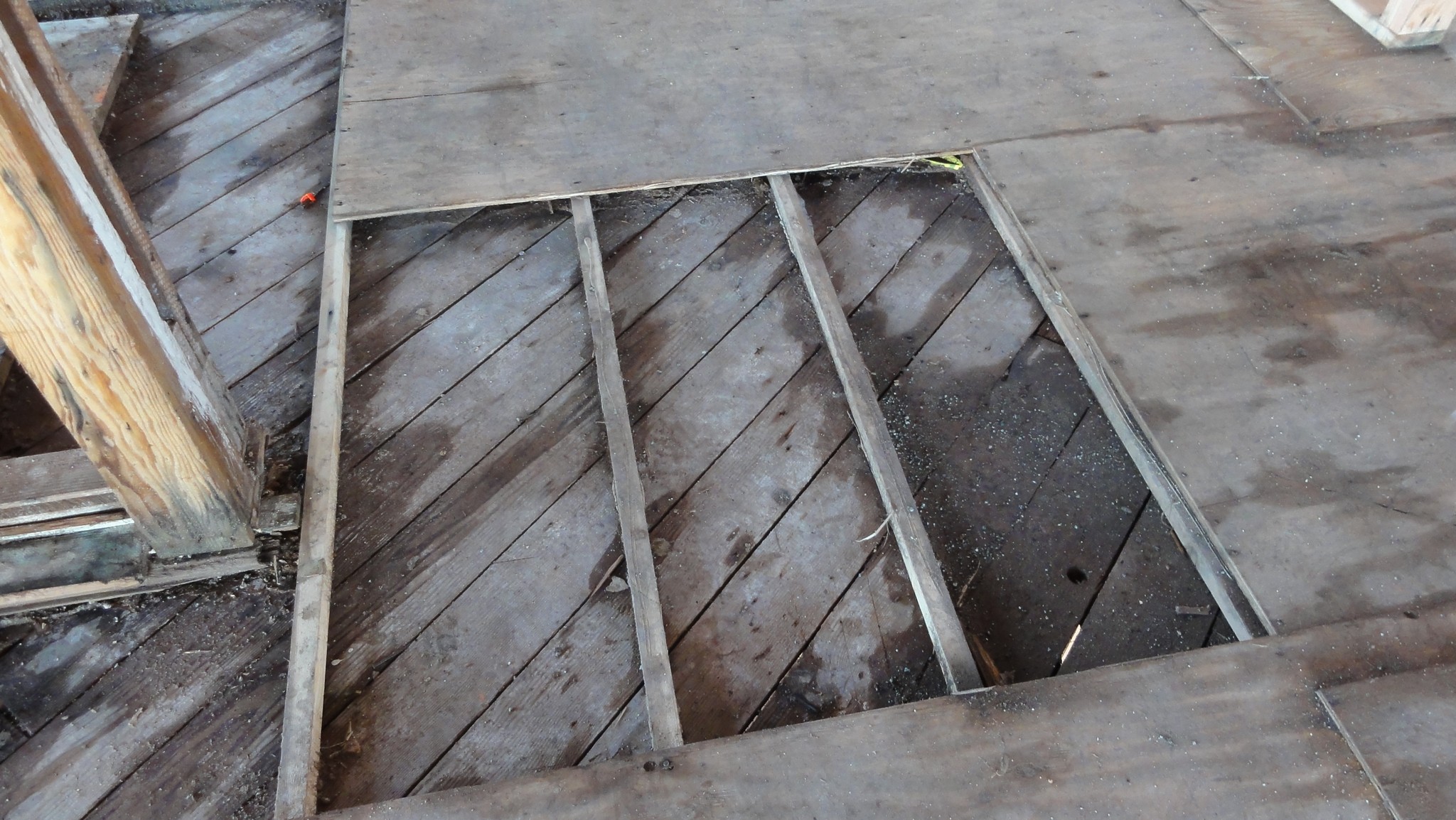 Rain water penetrated beneath the plywood subfloor