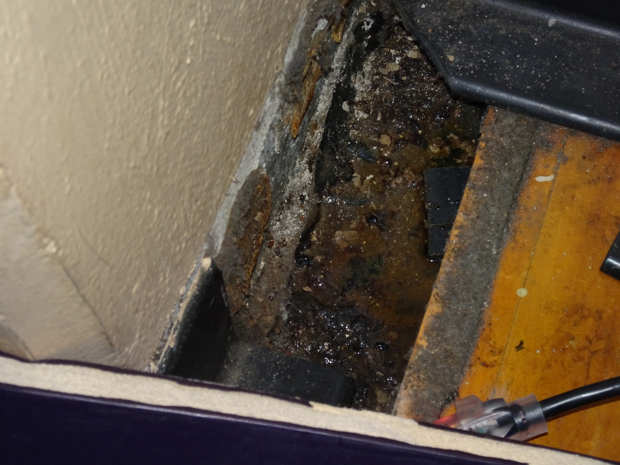 Water intrusion through an exterior wall (seen in the expansion space of a hardwood floor installation)
