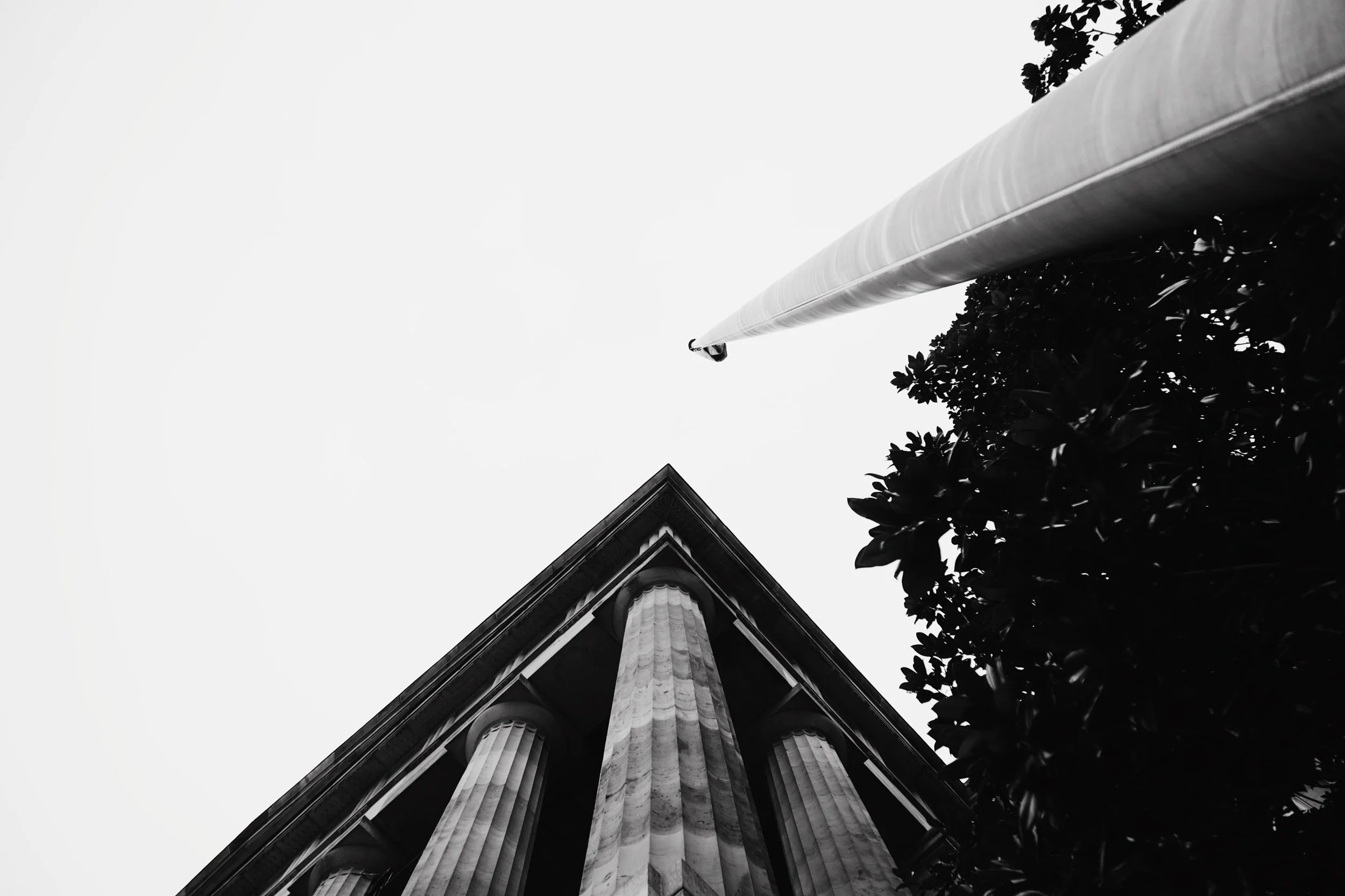 3BC865A6-5BDF-4176-A3B5-B873976389E3.jpeg