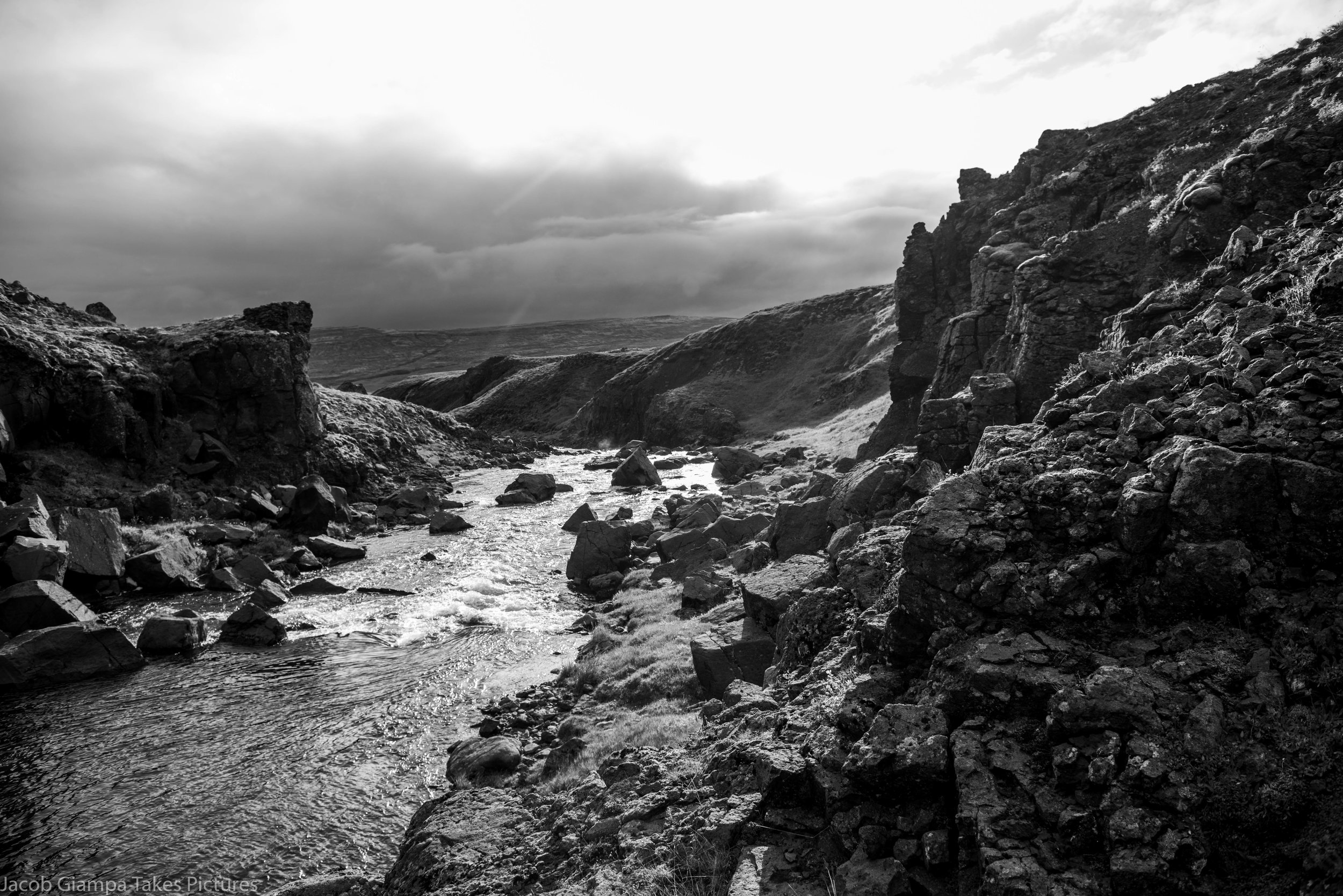 DSC_0336 2.jpg
